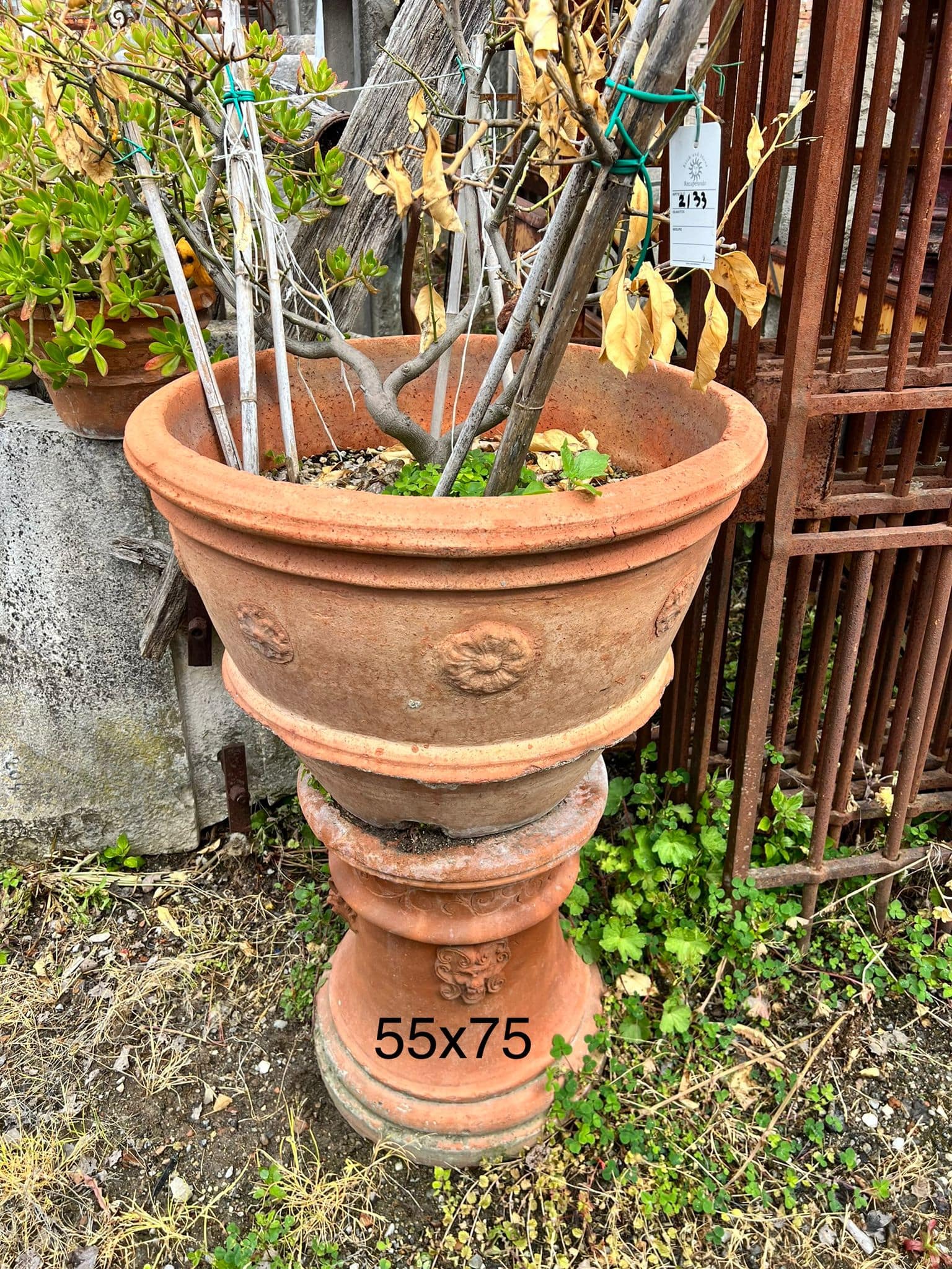 Antica conca con decorazioni 