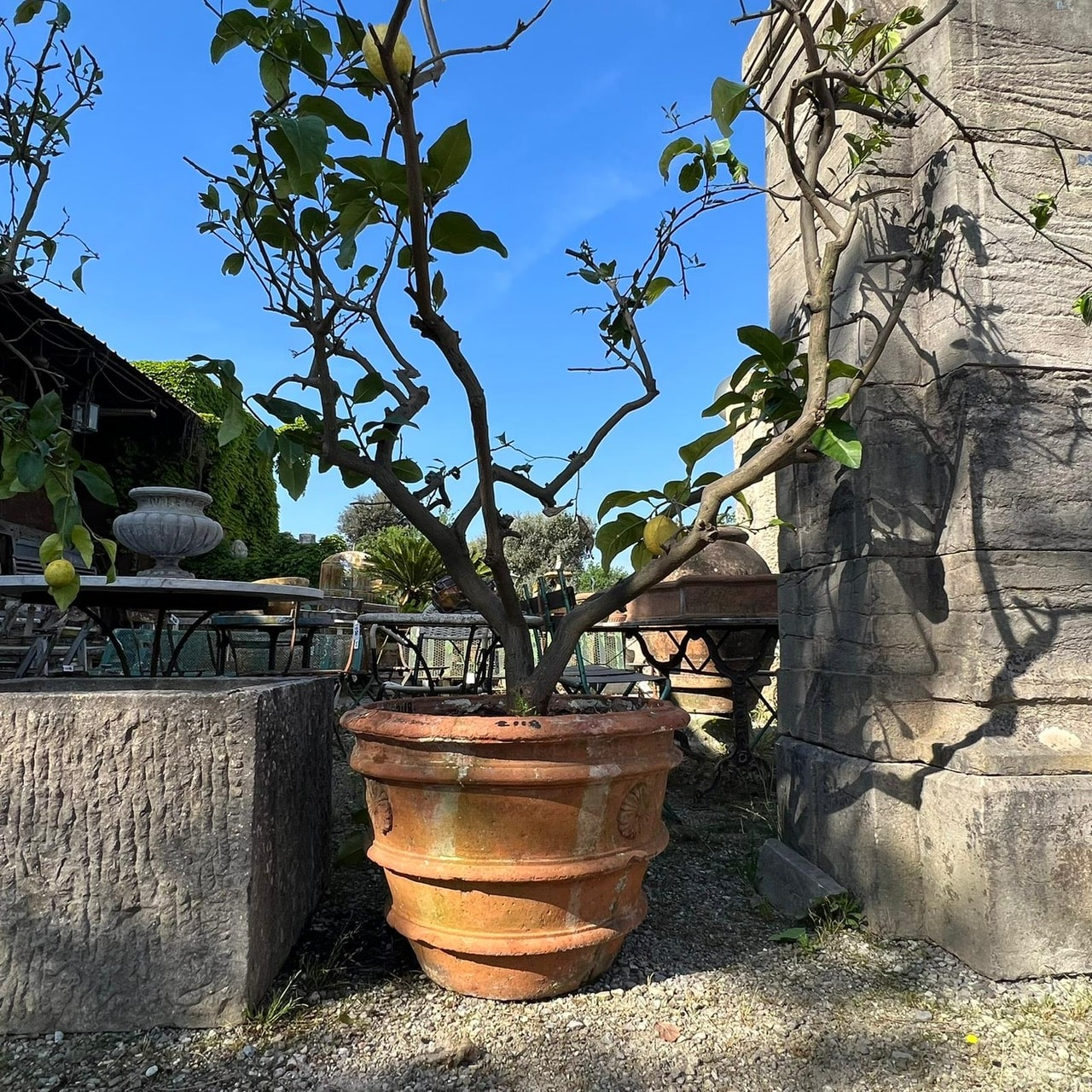 Antica conca di terracotta 