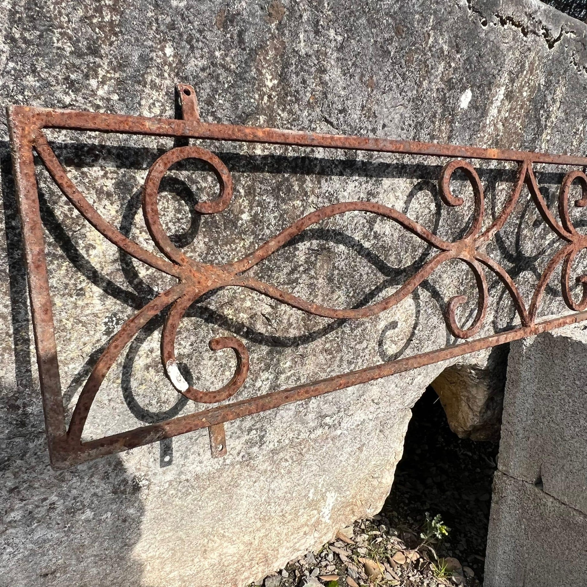 Antica rostra lunga 