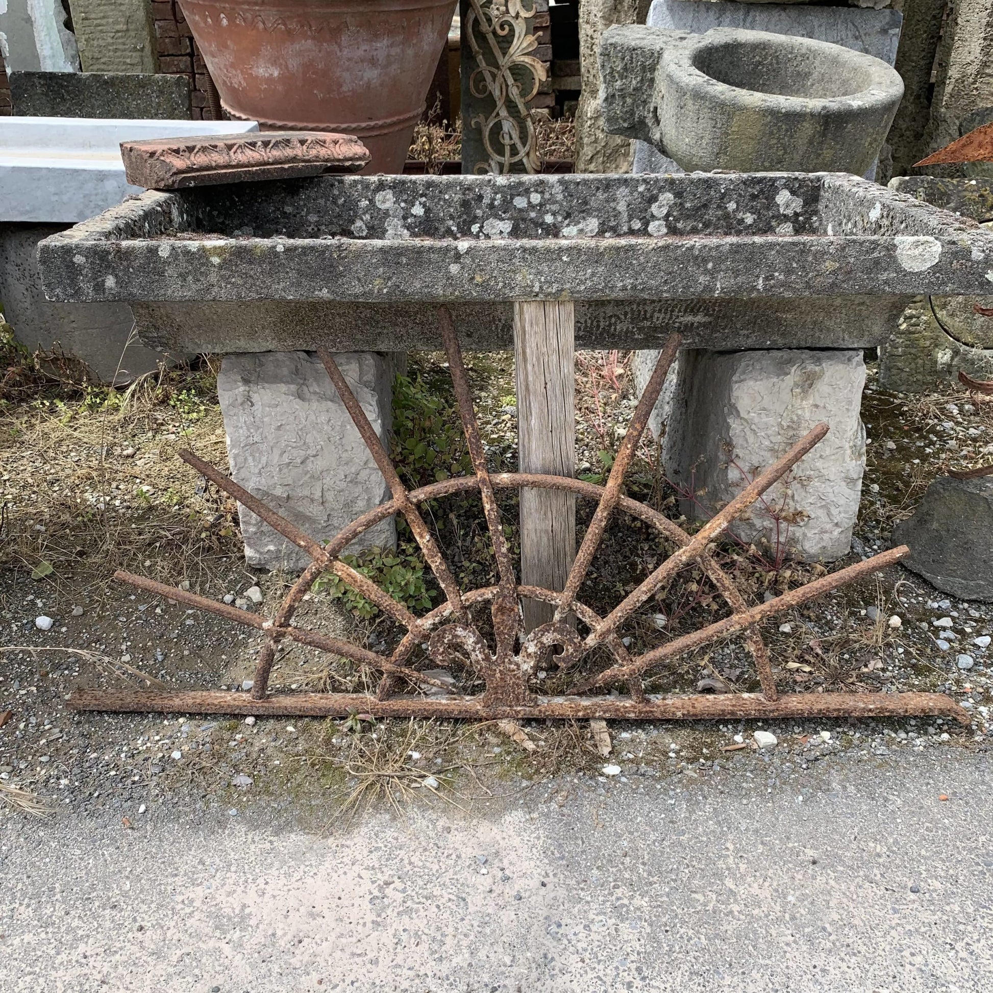 Antica rostra semplice 