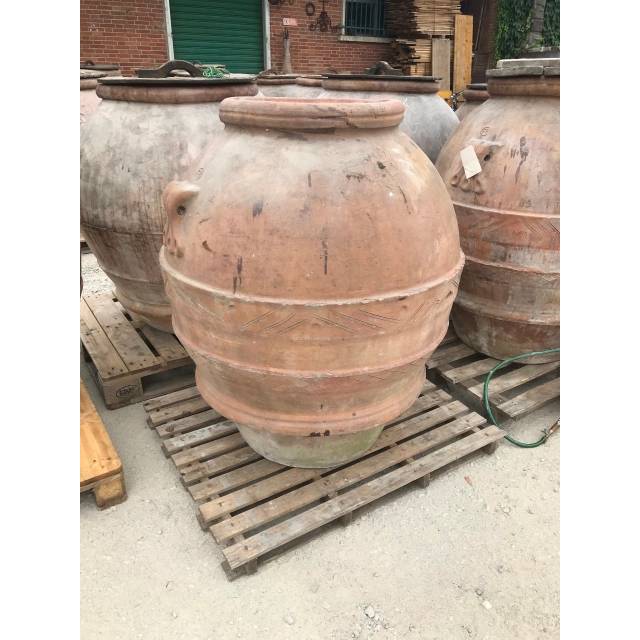 Antichi orci bitossi 