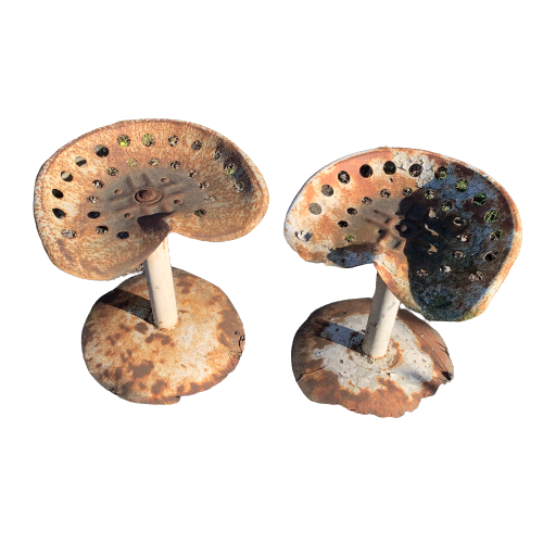Antichi sgabelli 