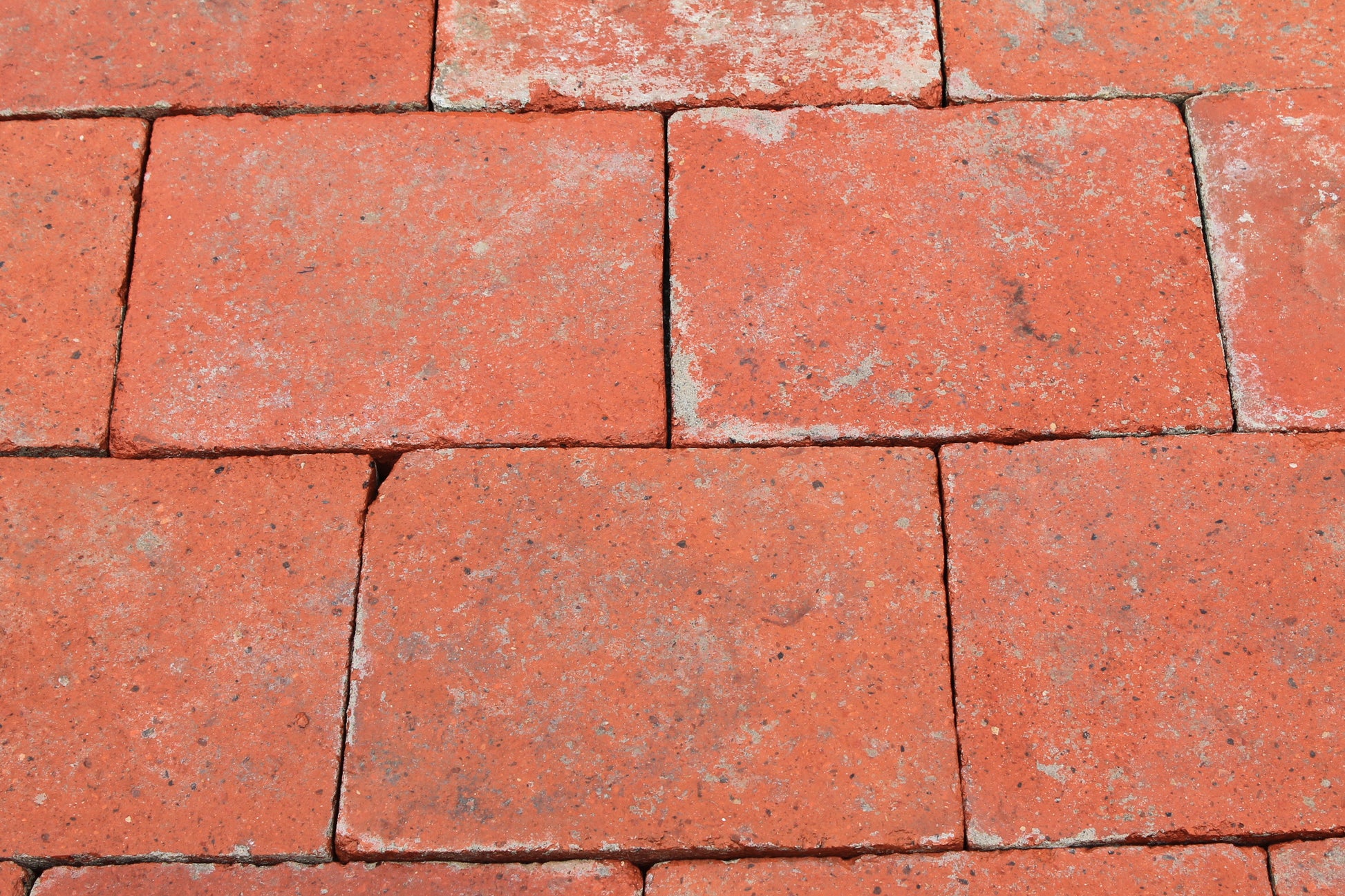 Antico quadrone Lucchese