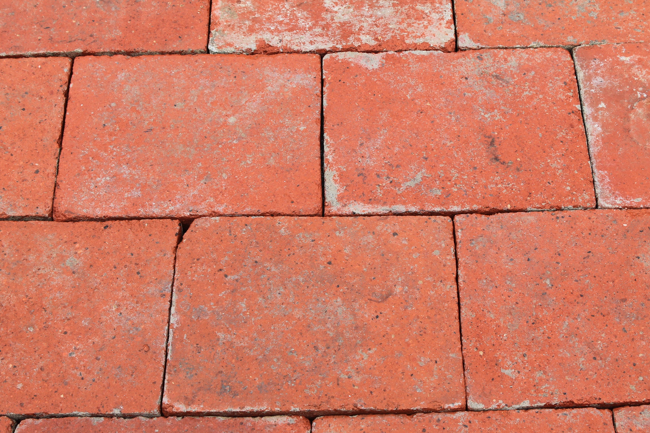 Antico quadrone Lucchese