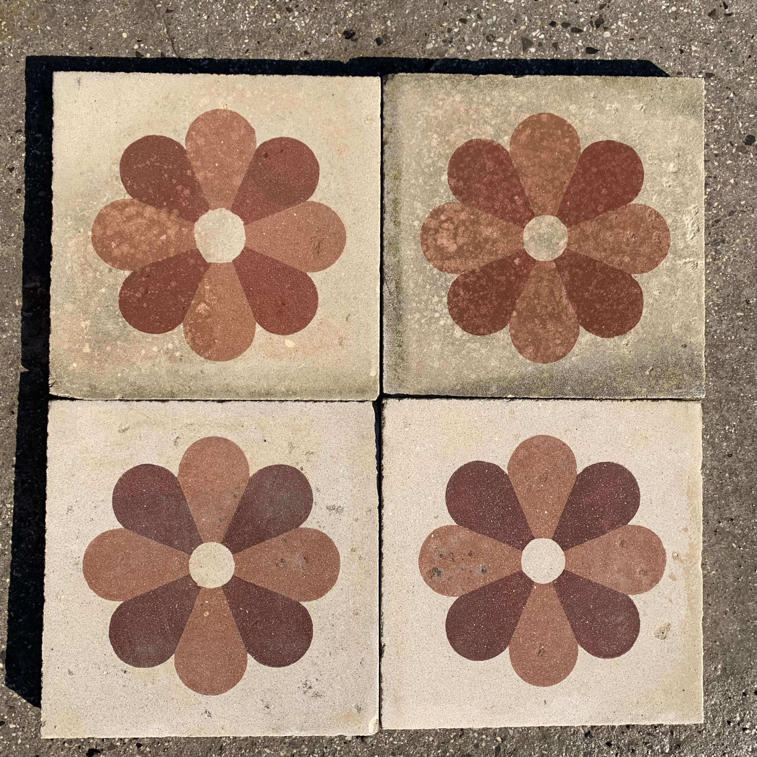 Cementine con margherita colorata 