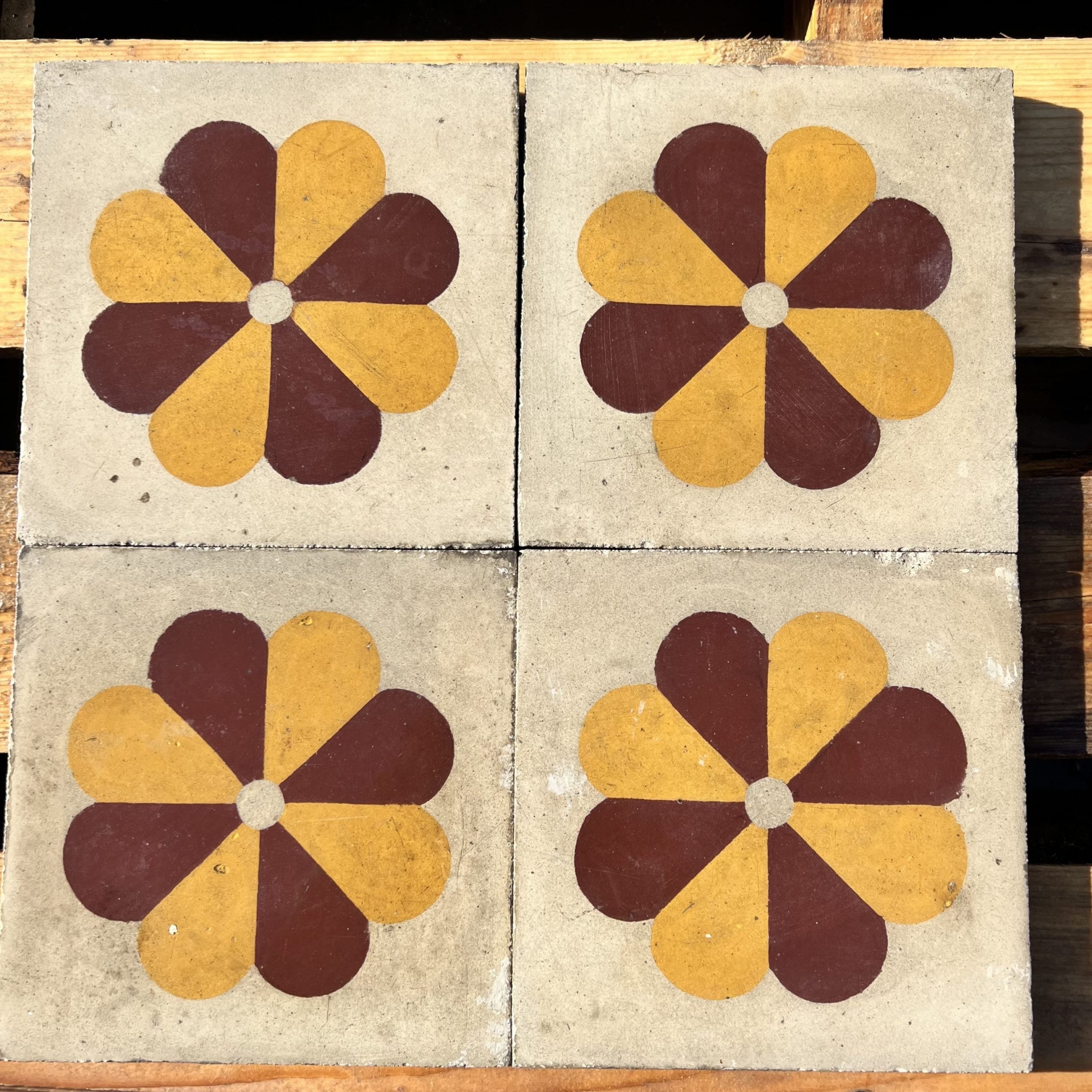 Cementine con margherita gialla e bordò