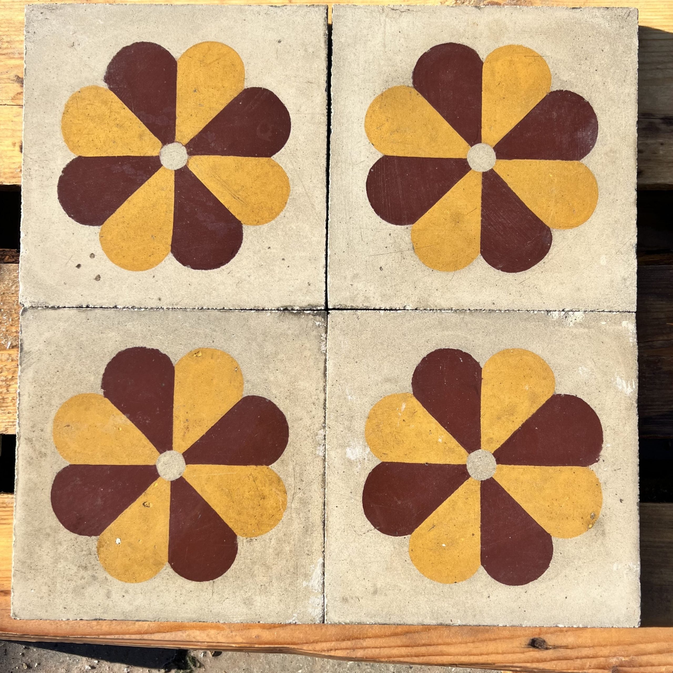 Cementine con margherita 