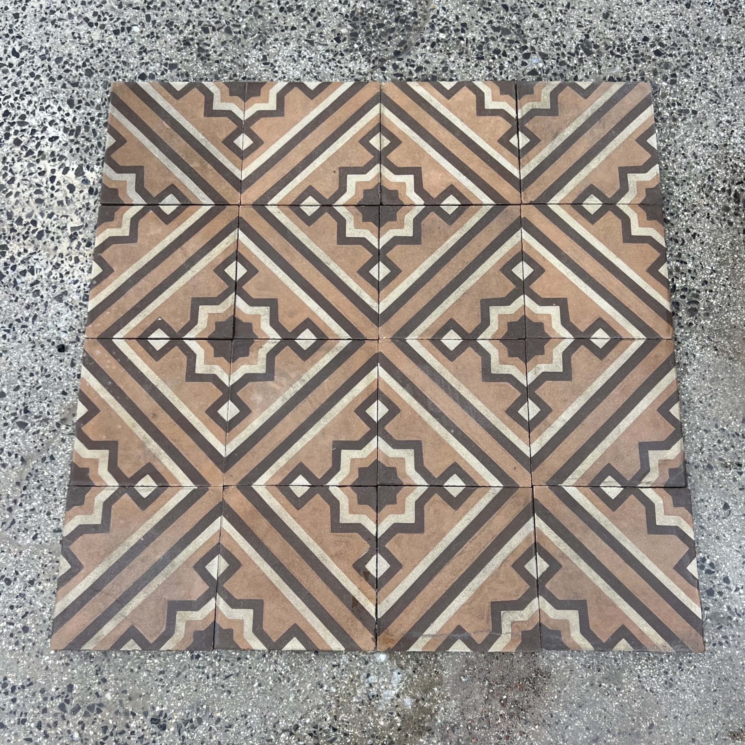 cementine marroni e bianche 