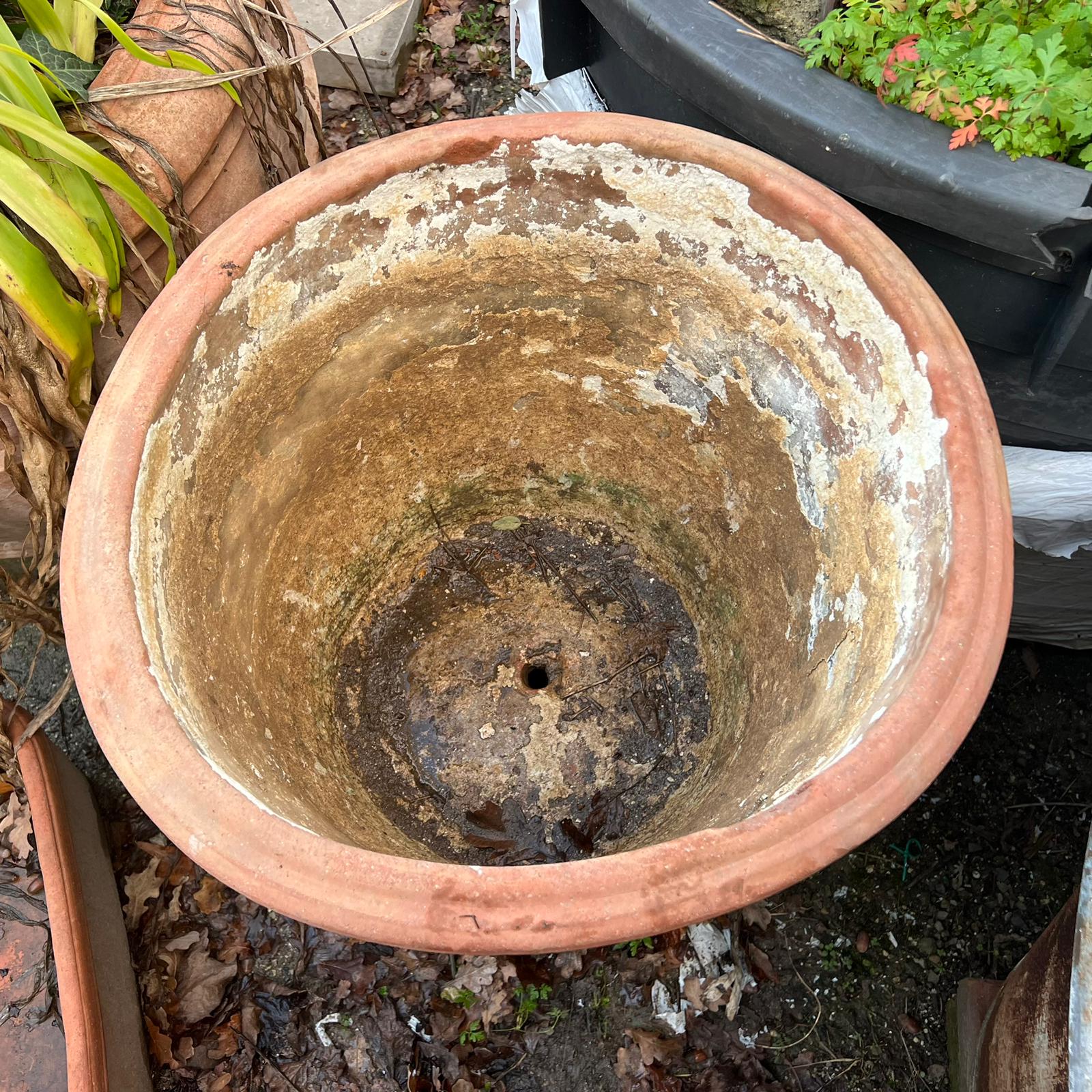 Conca antica dettaglio