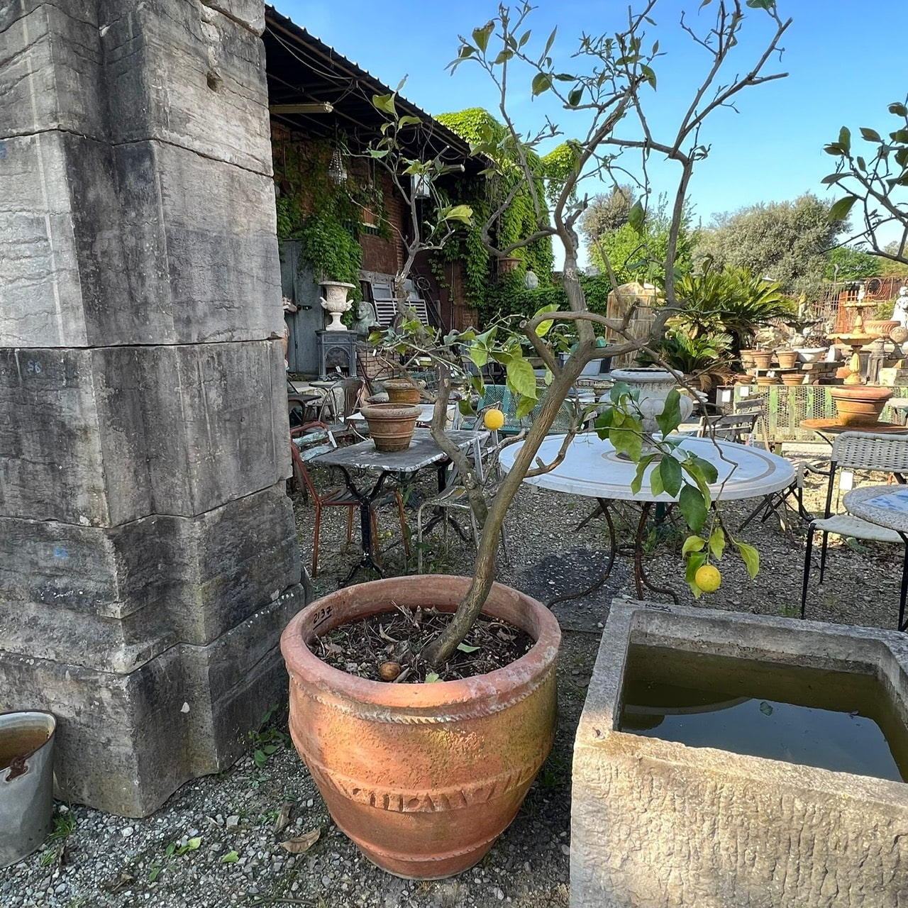 Conca antica recuperata 