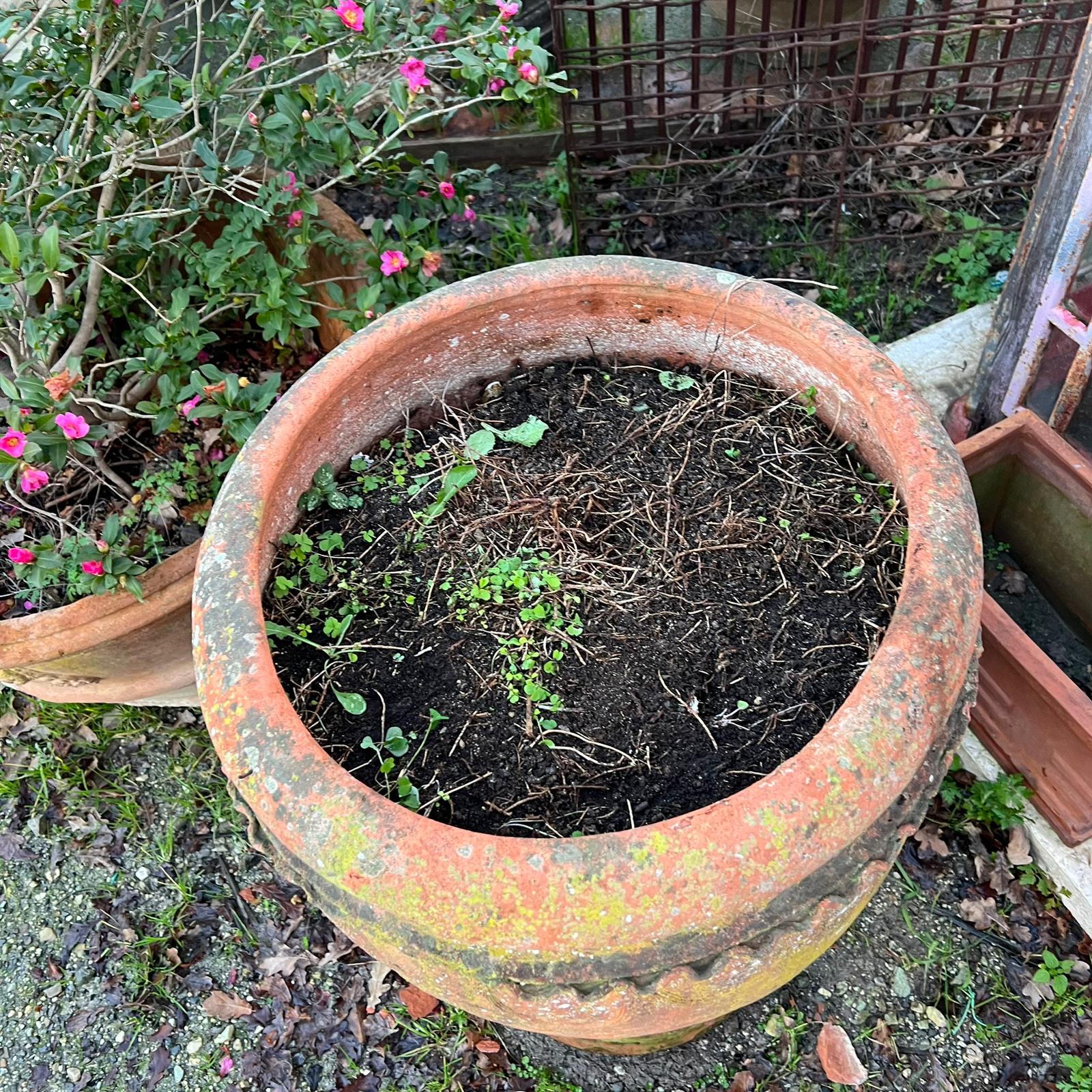 Conca in terracotta antica dettaglio 