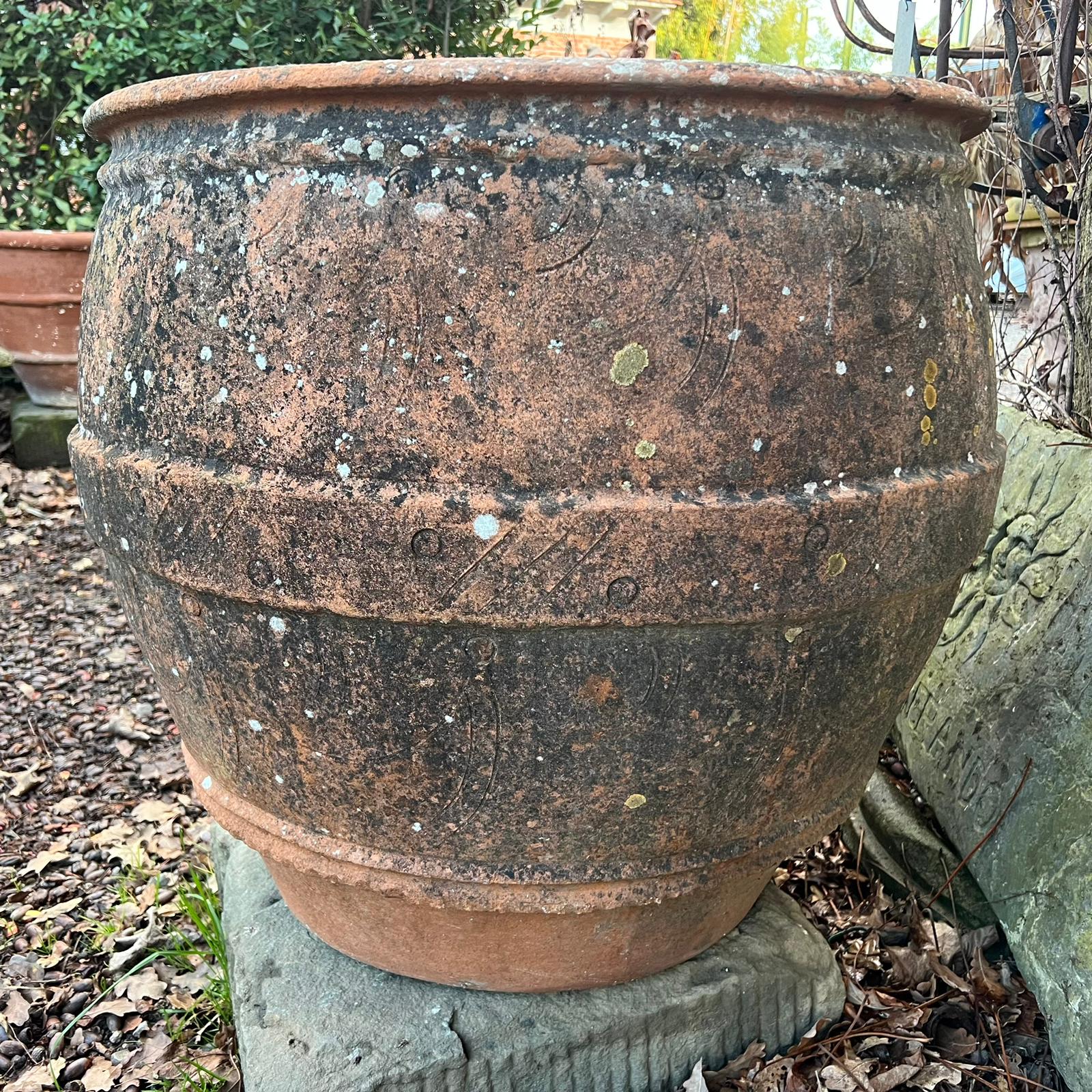 Conca in terracotta media 