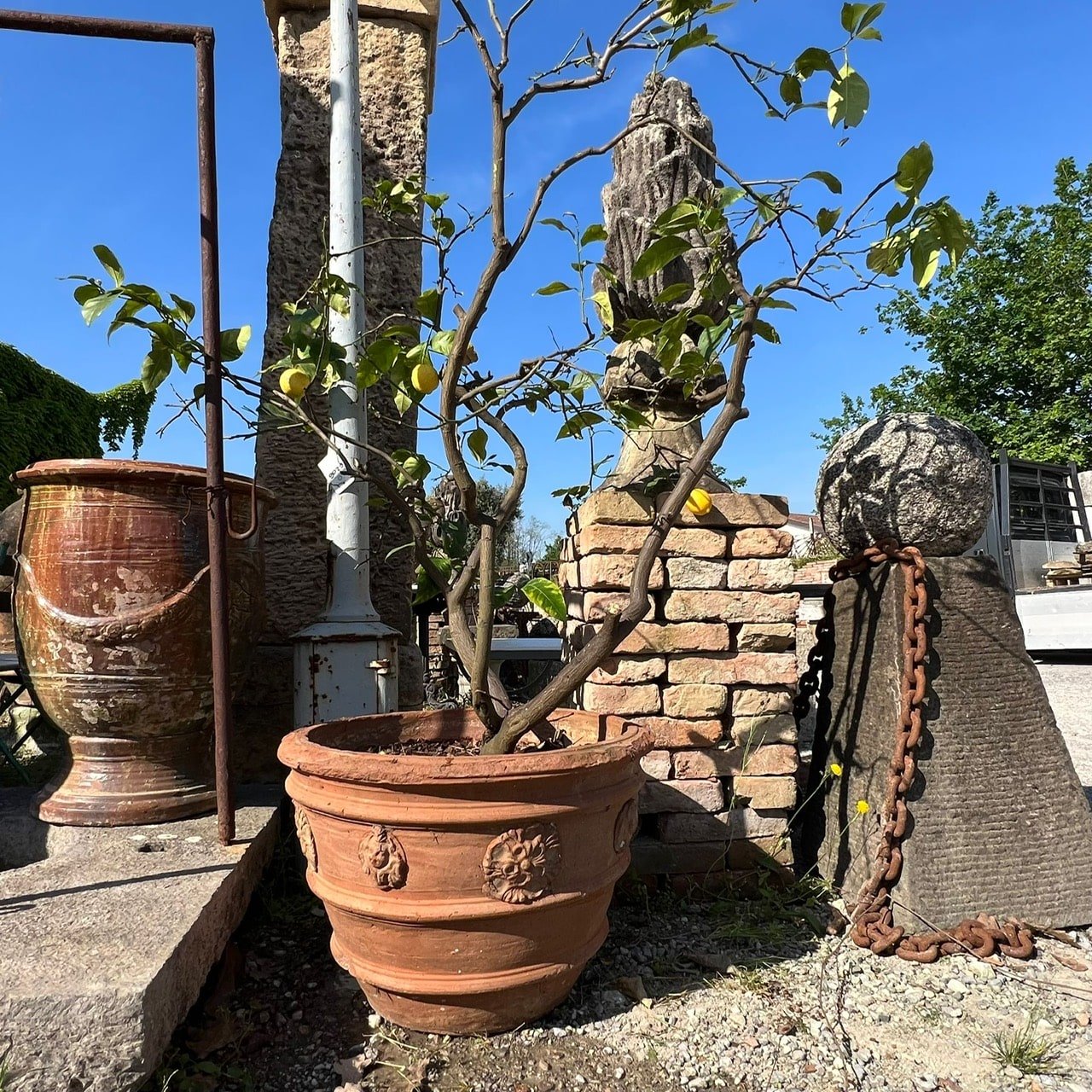 Conca in terracotta usata 