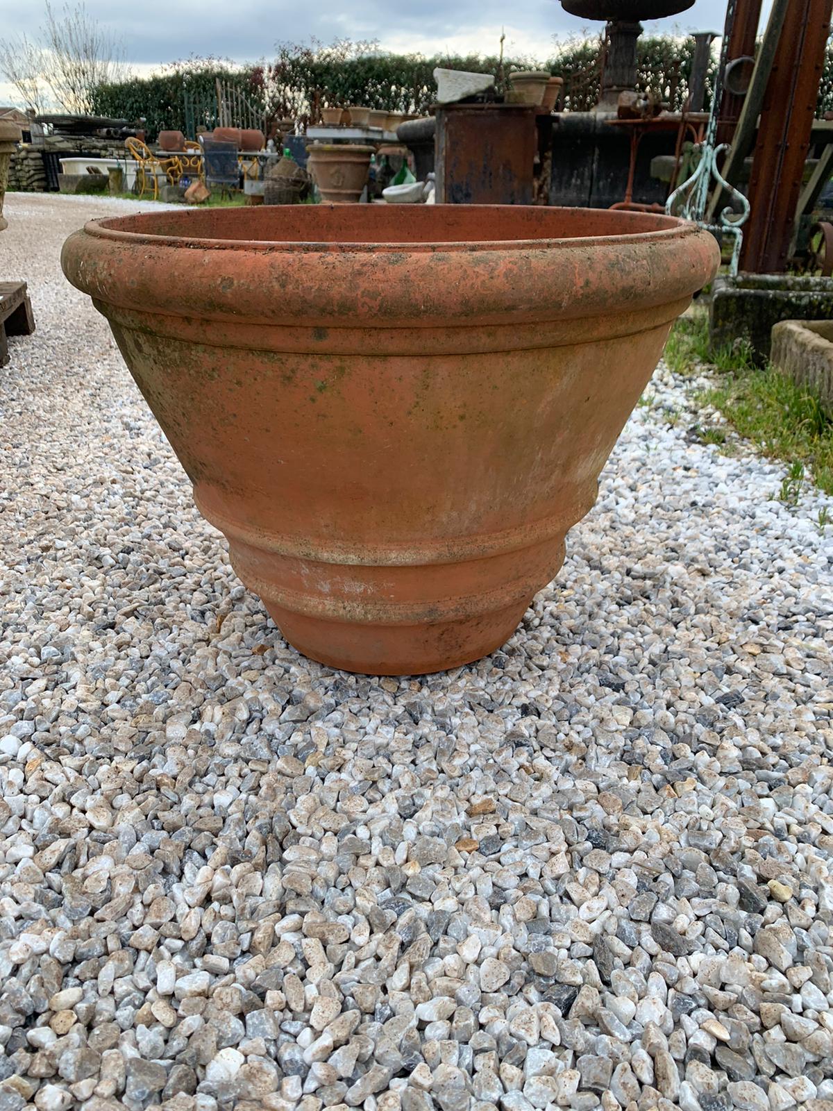 Conche vecchie di terracotta 