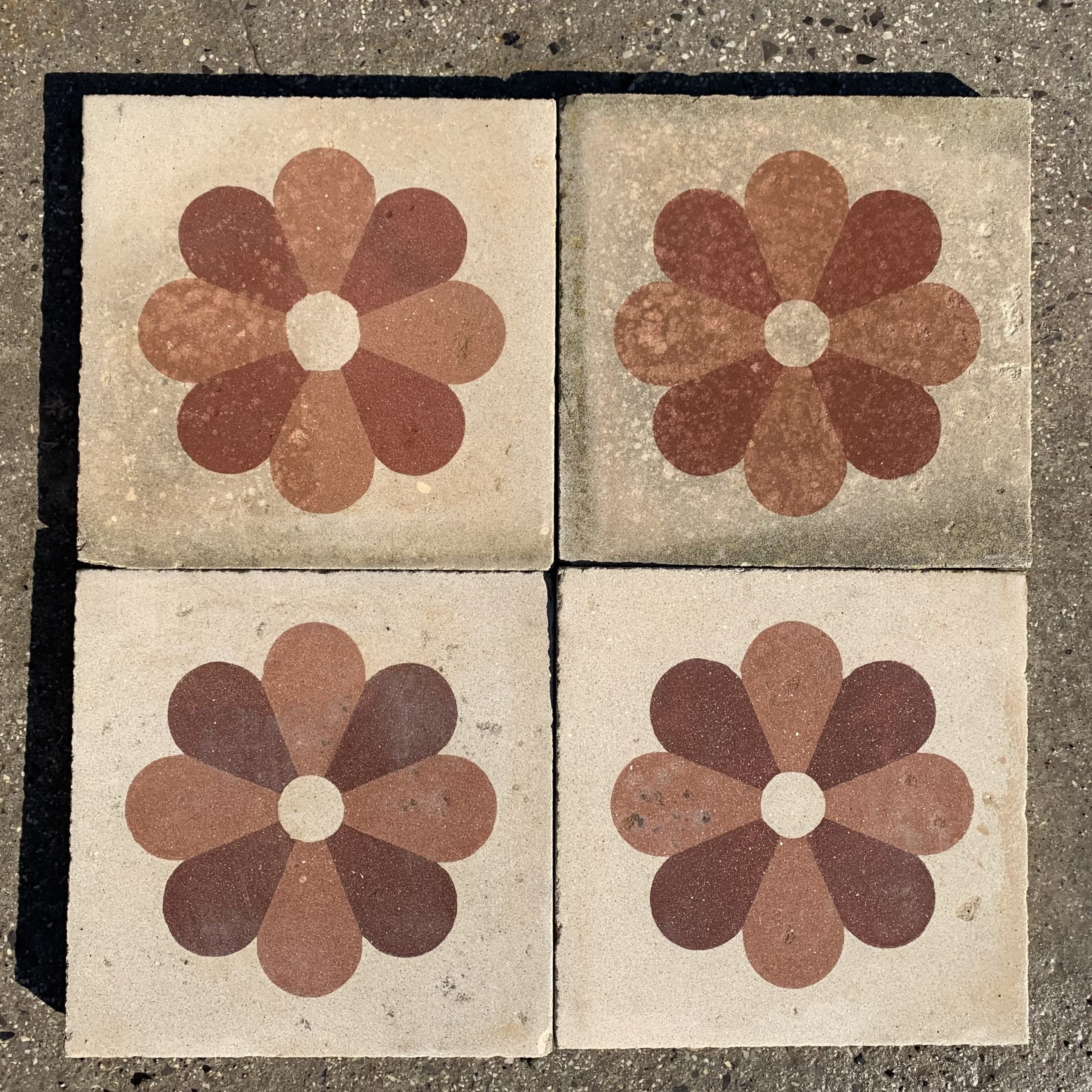 Dettagli cementine e margherite 