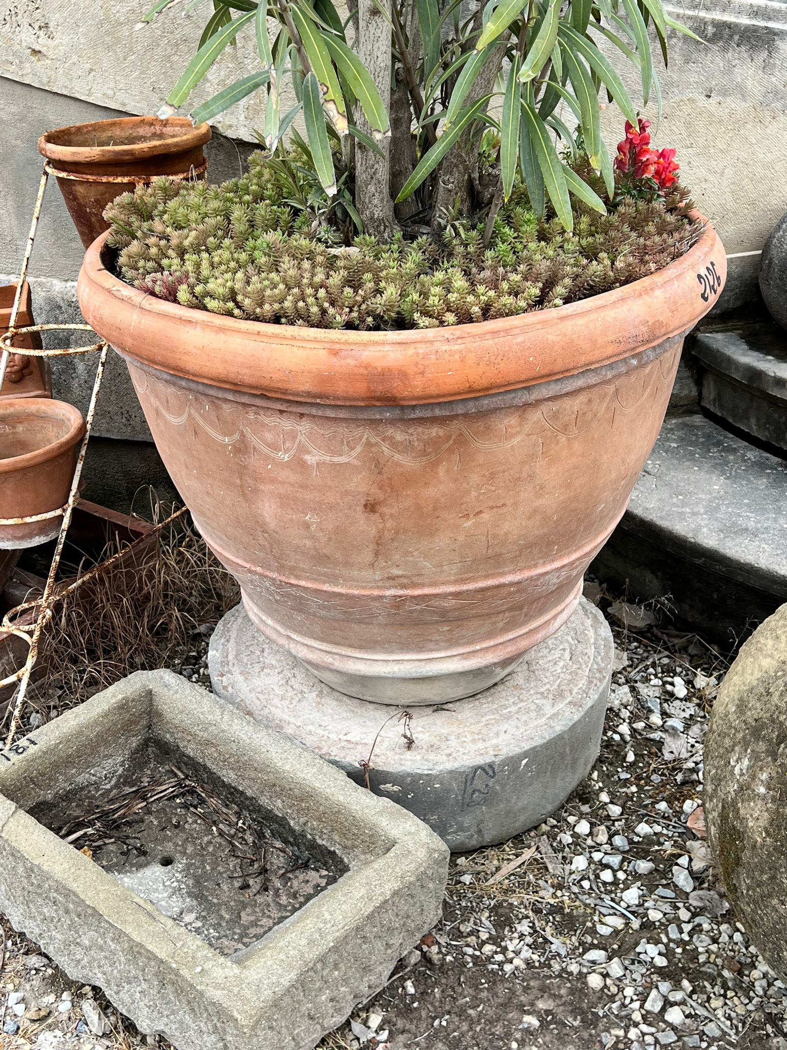 Dettagli conca in terracotta 