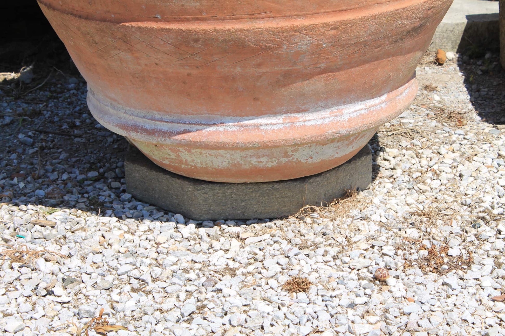Dettagli conca terracotta antica 