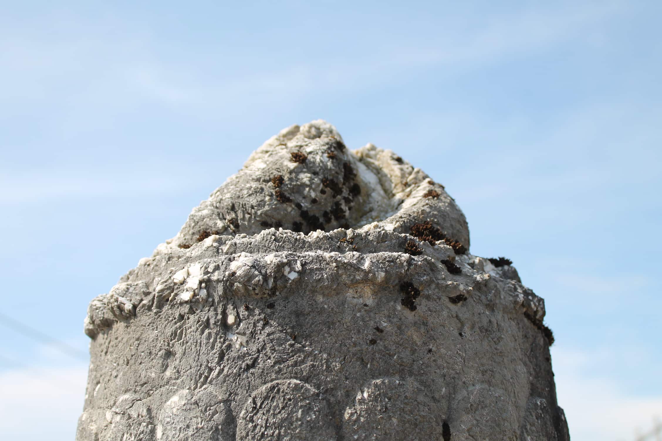 Dettaglio capitello 