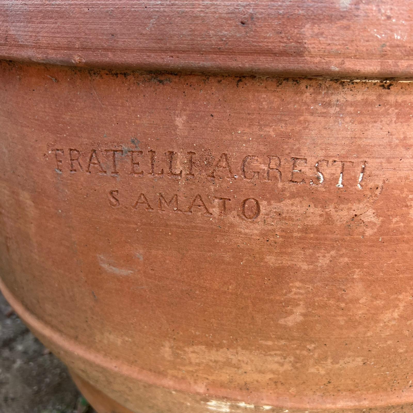 Dettaglio conca in terracotta 