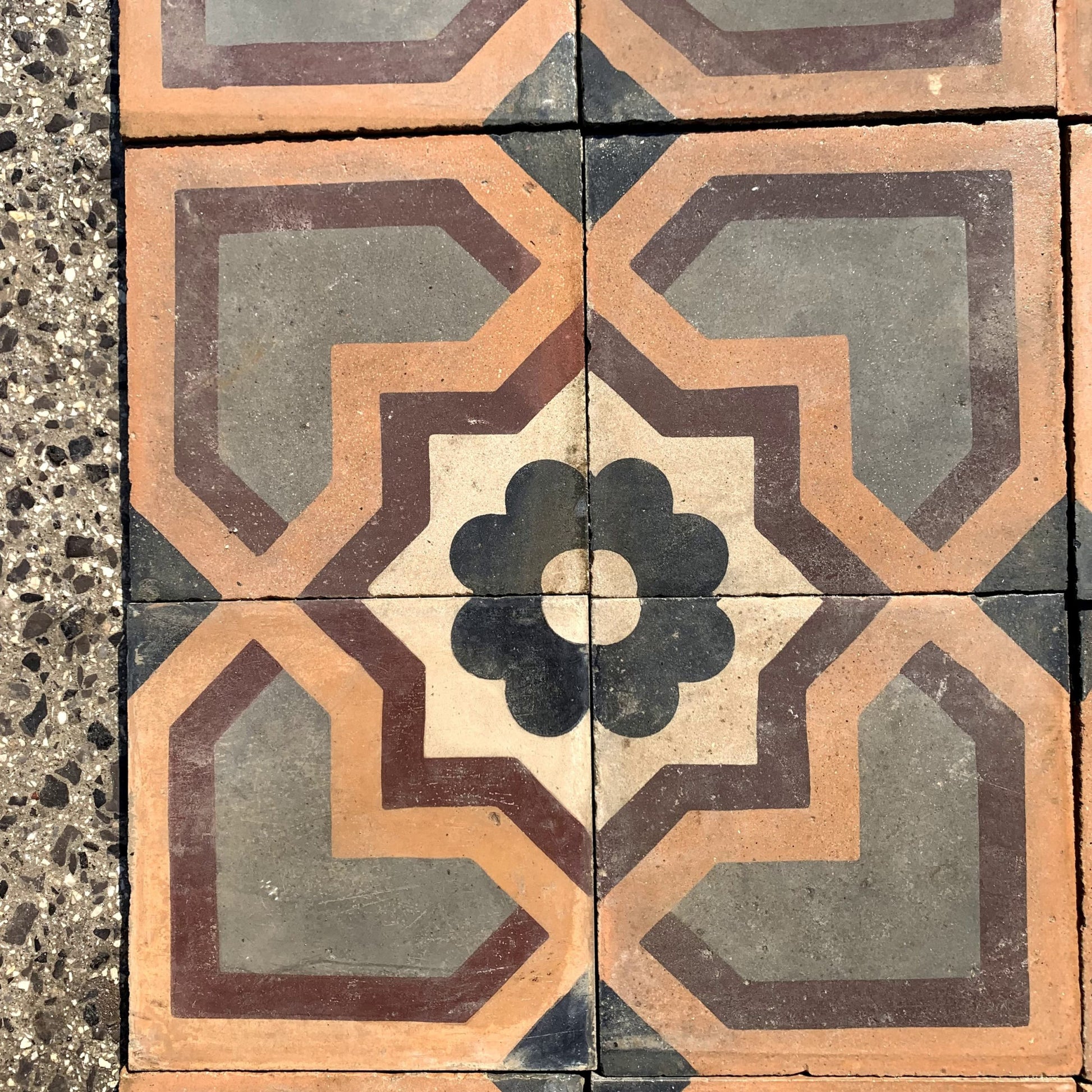 Dettaglio fiore blu 