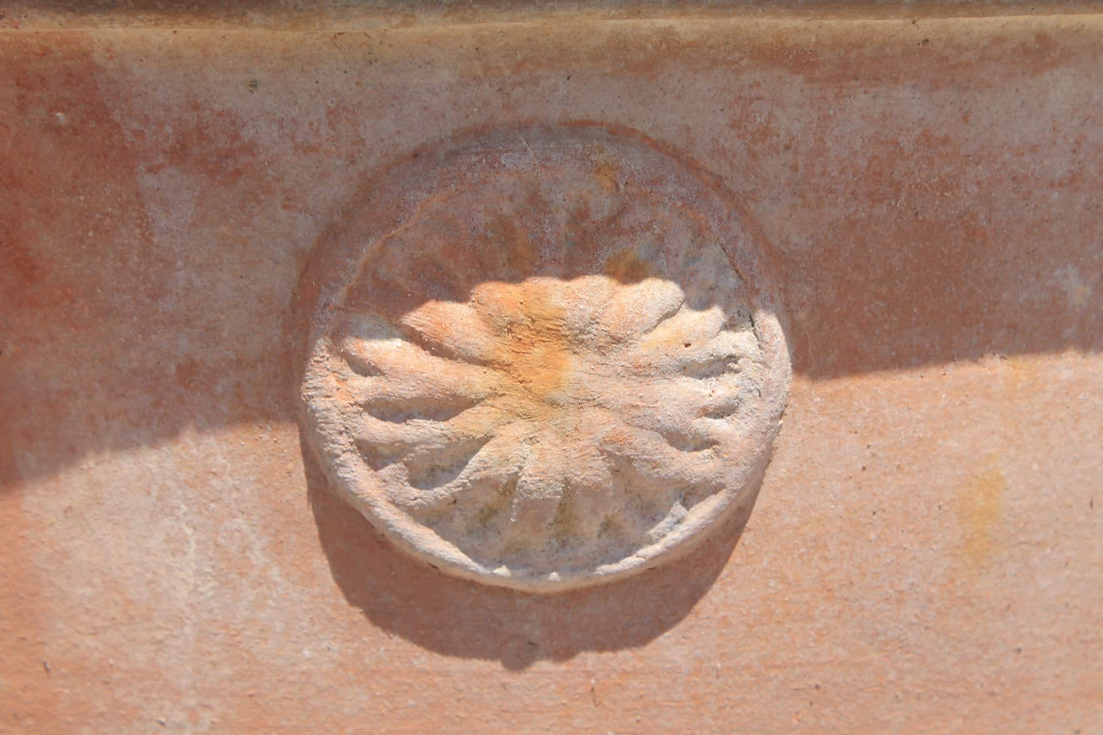Dettaglio fiore conca antica 