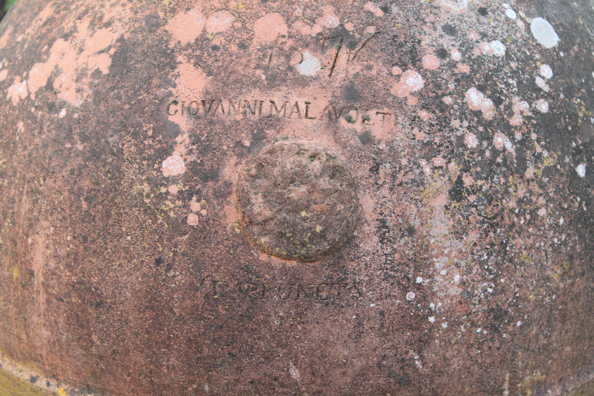Dettaglio giovanni malavolti 