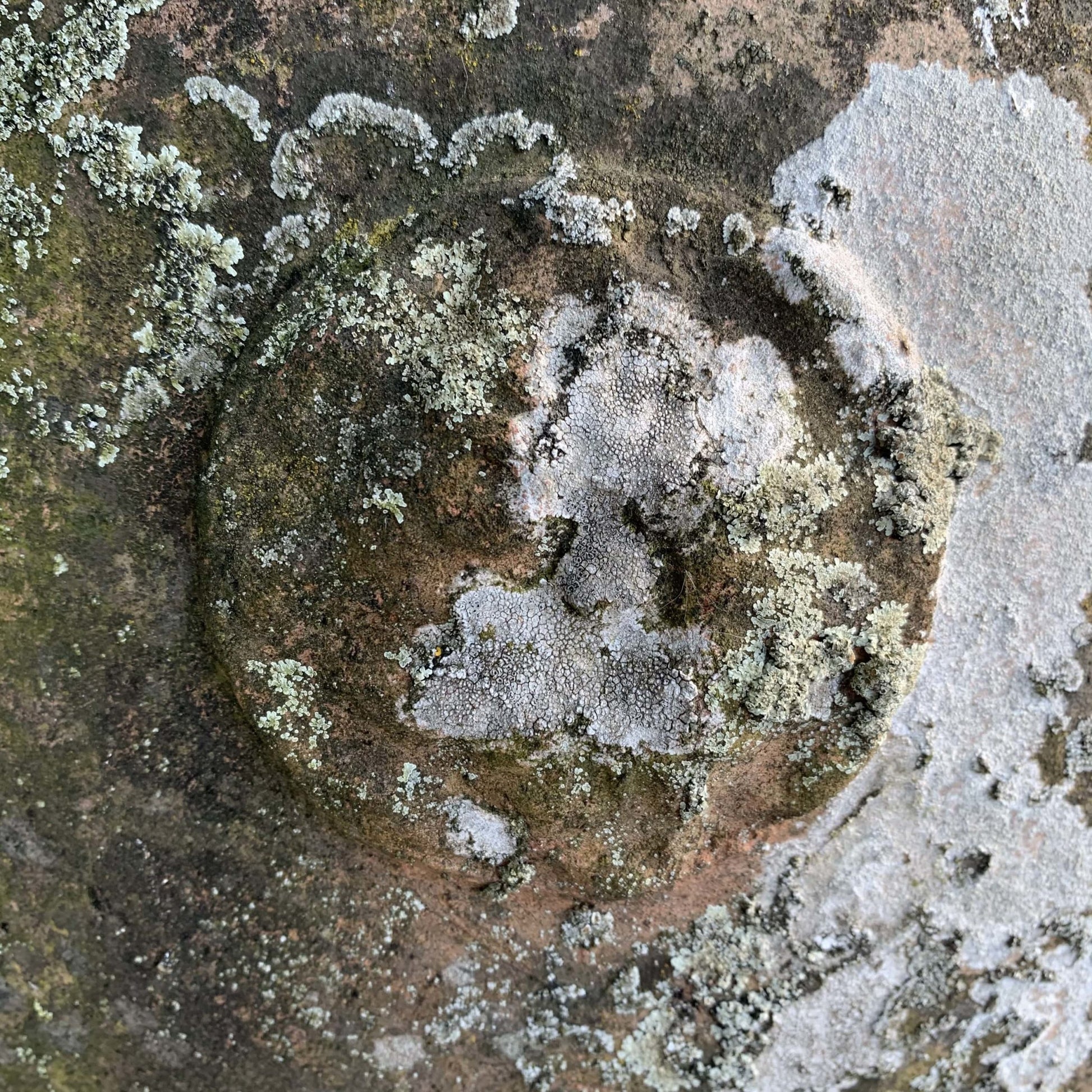Dettaglio orcio vecchio 