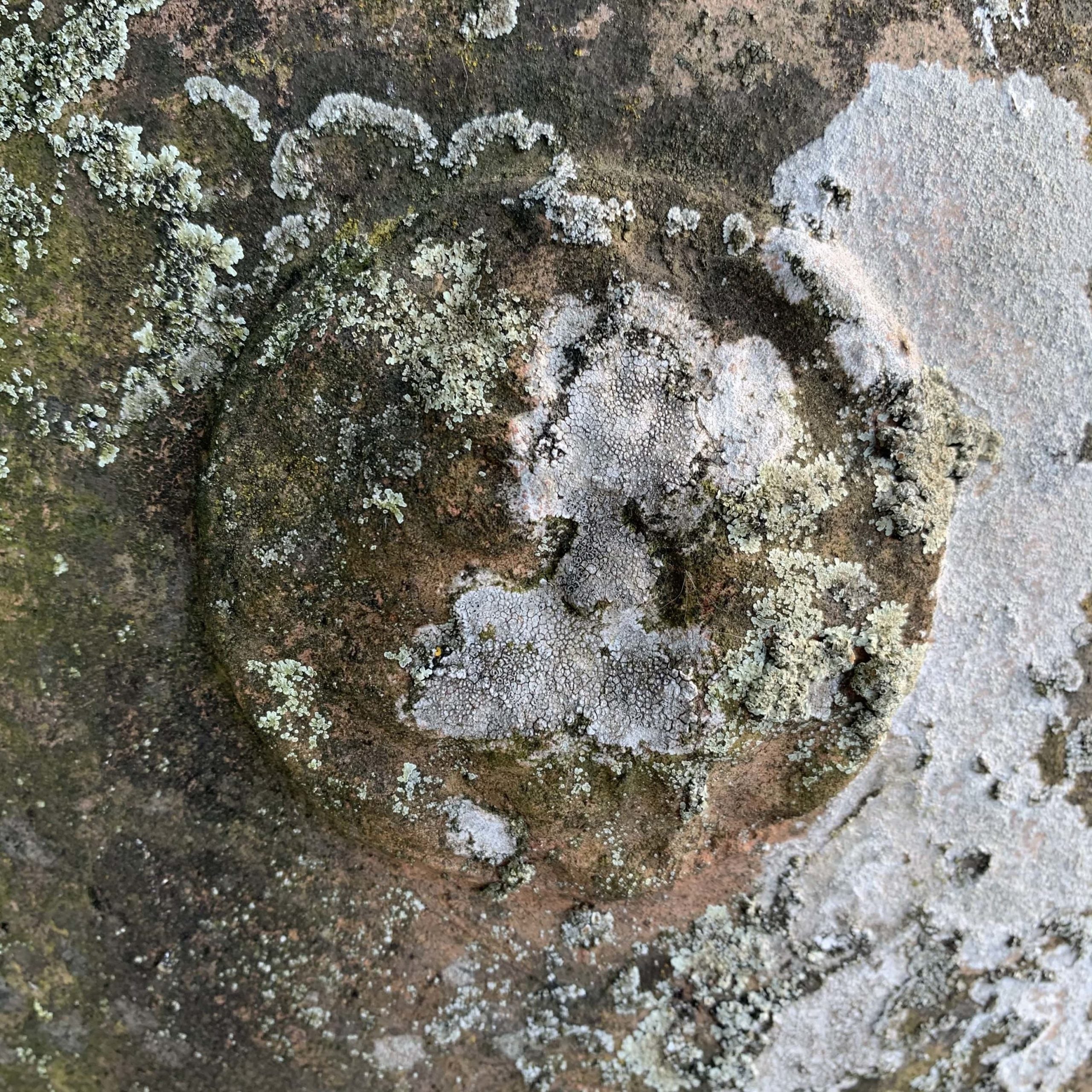 Dettaglio orcio vecchio 