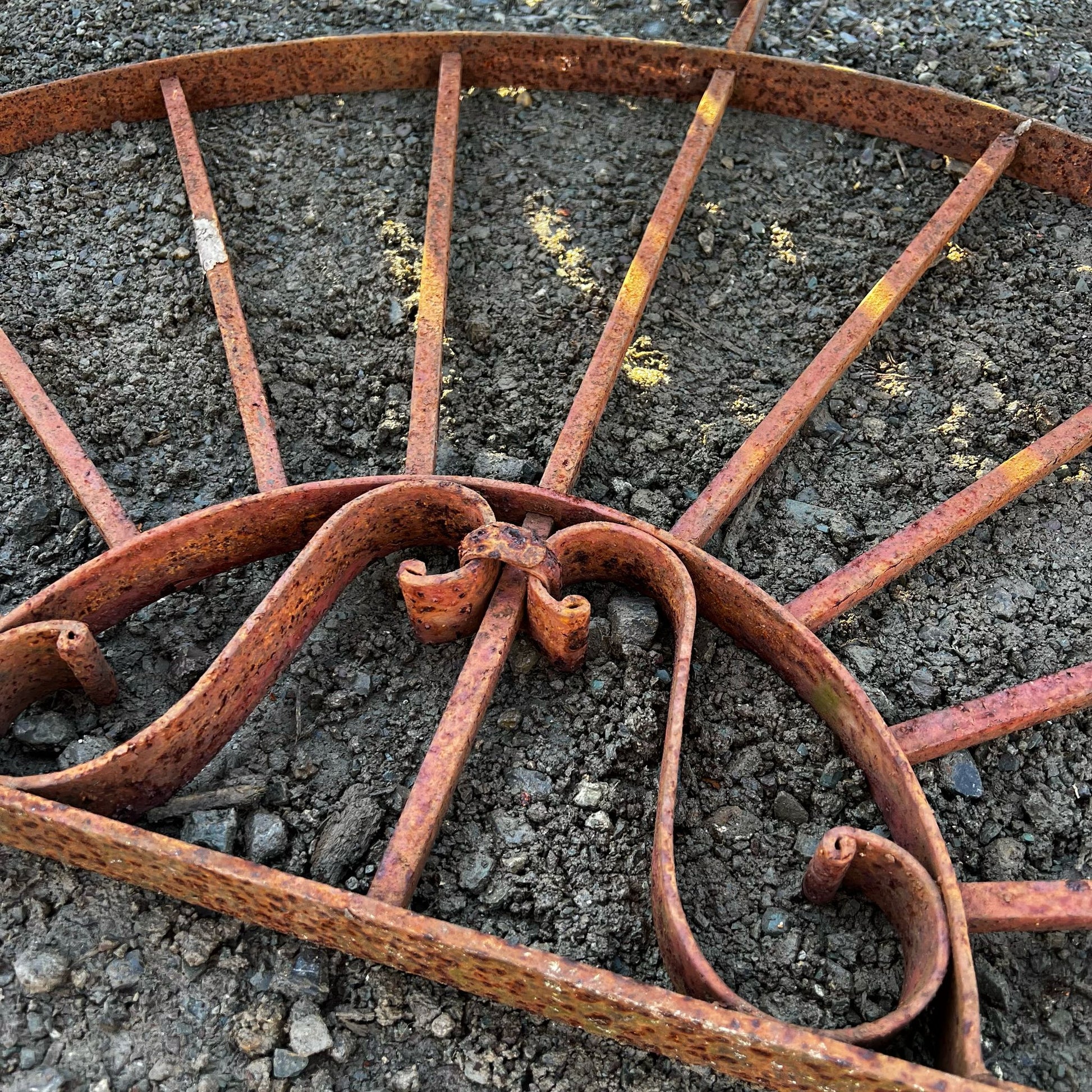 Dettaglio piccola rostra recuperata 