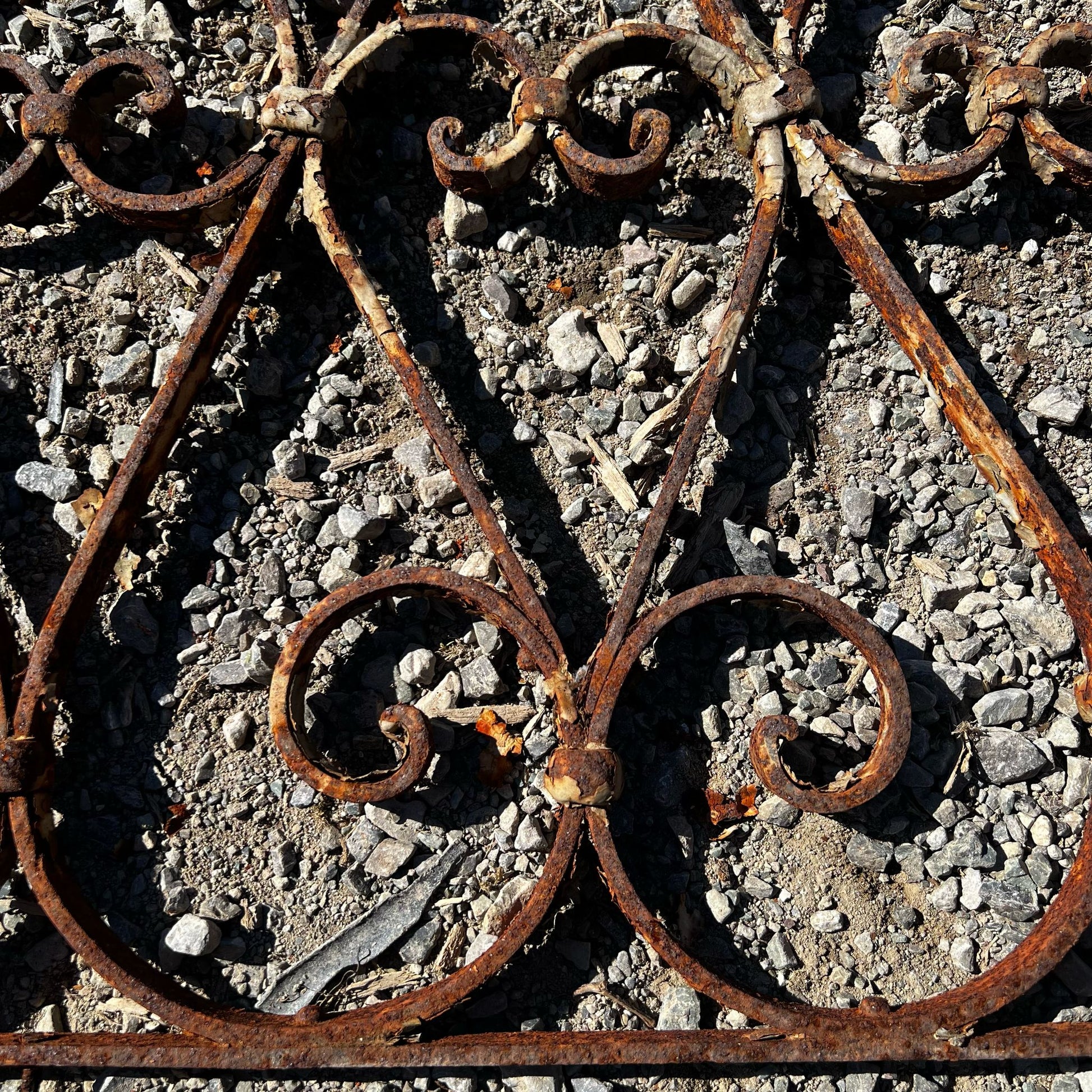 Dettaglio piccola rostra 