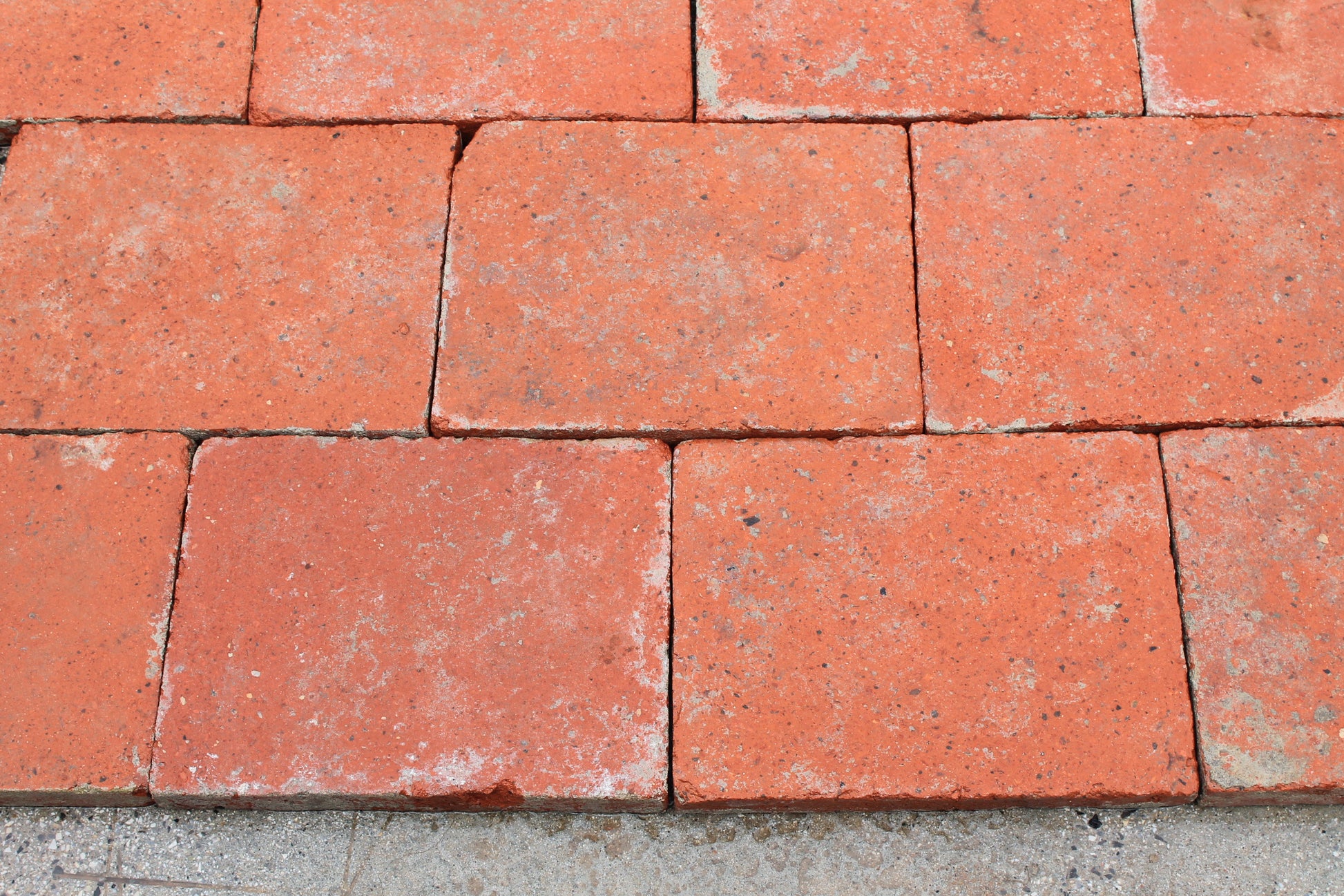Dettaglio quadrone Lucchese