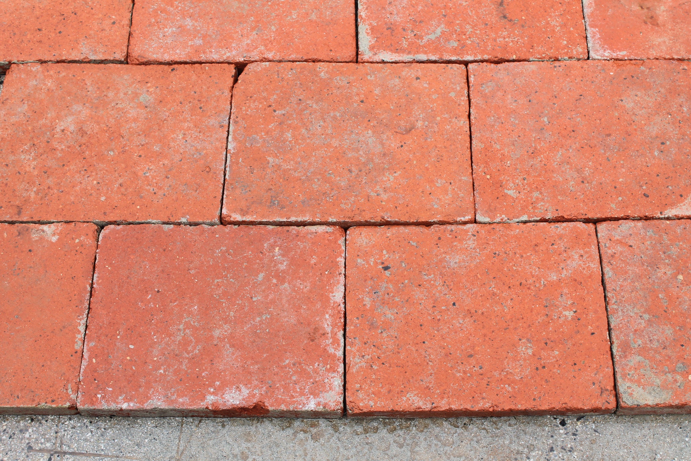 Dettaglio quadrone Lucchese