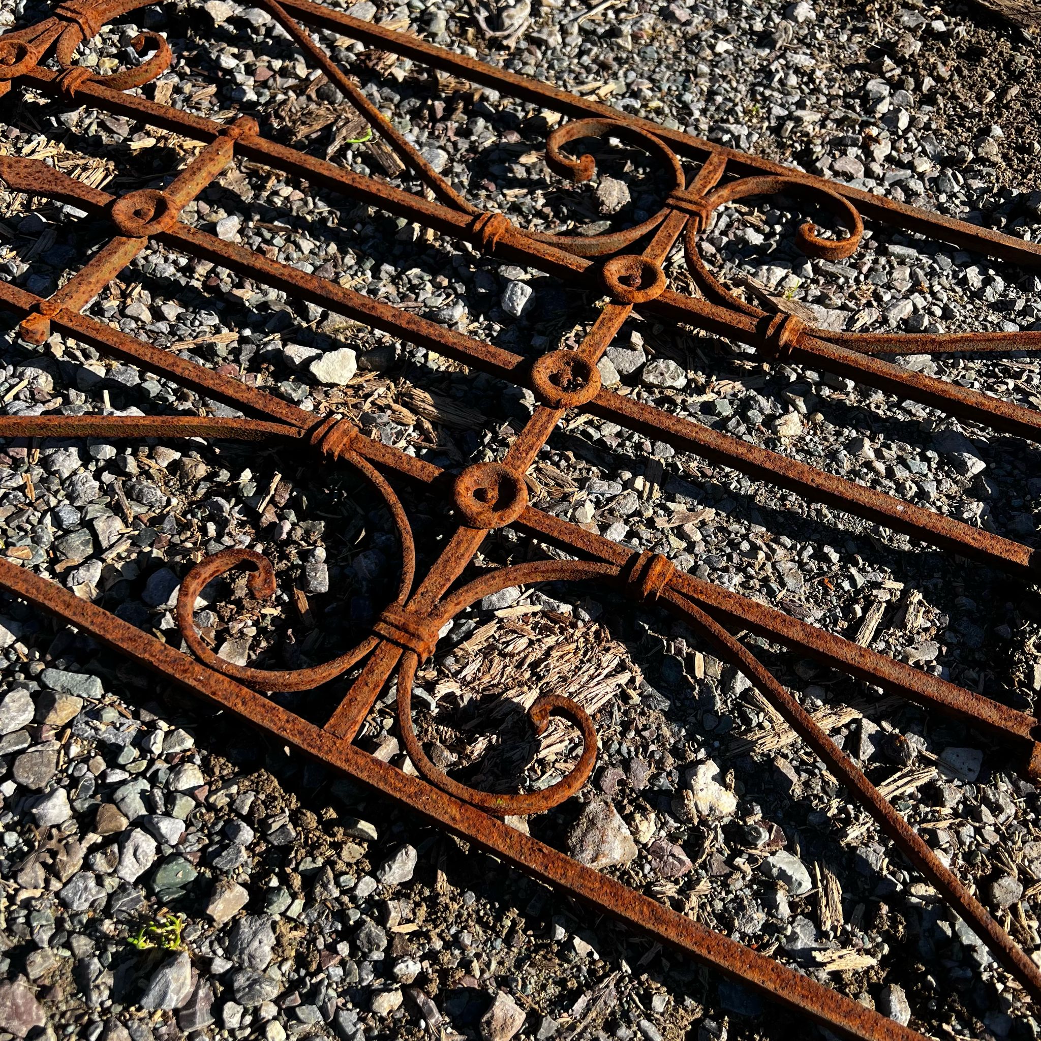 Dettaglio rostra di ferro 