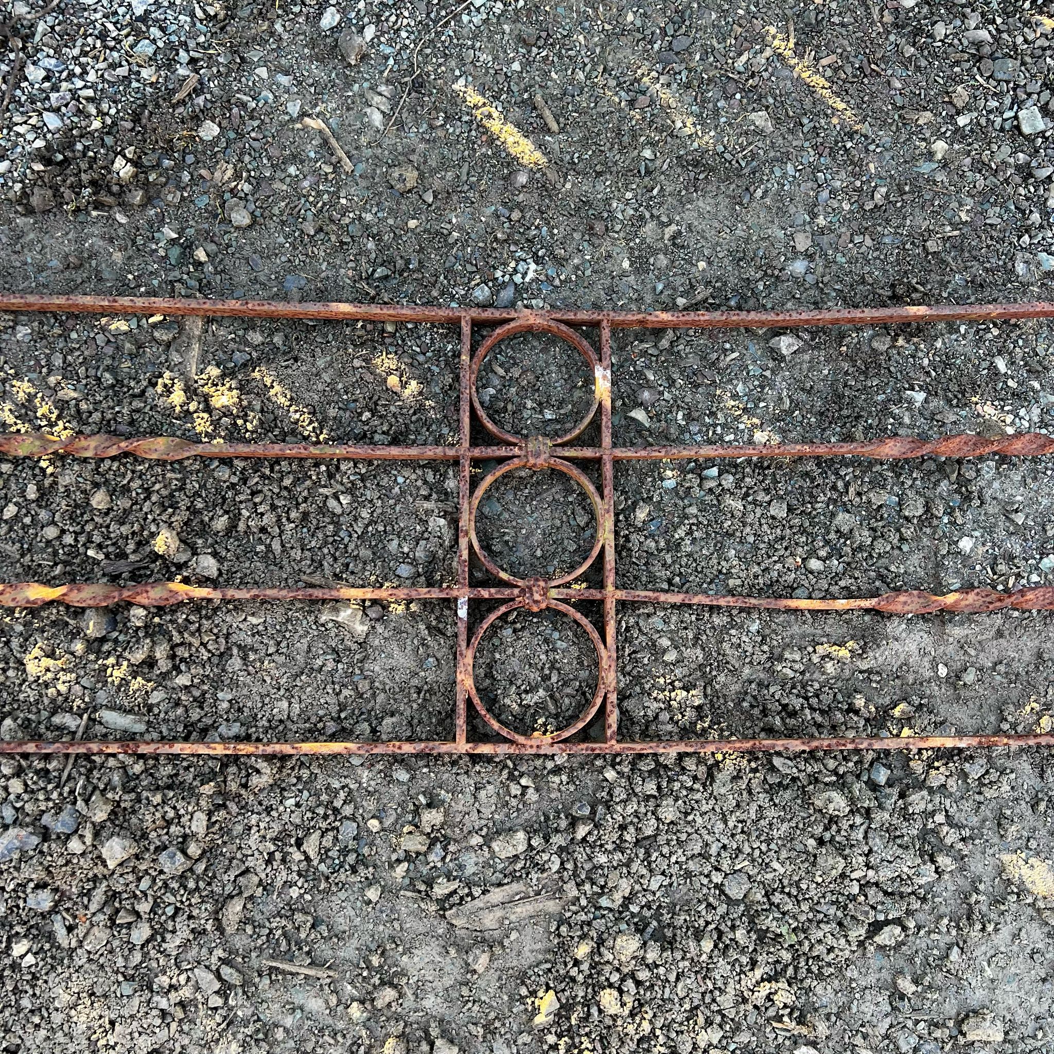 Dettaglio rostra semplice 