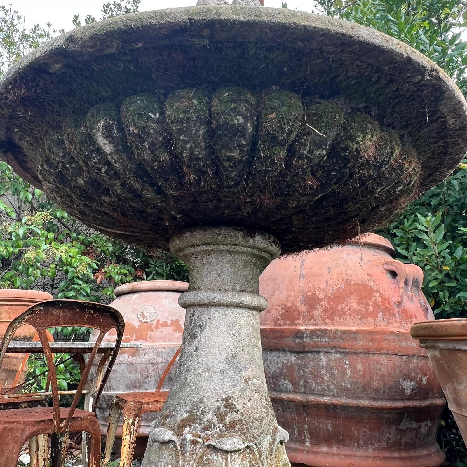 Dettaglio vasca fontana