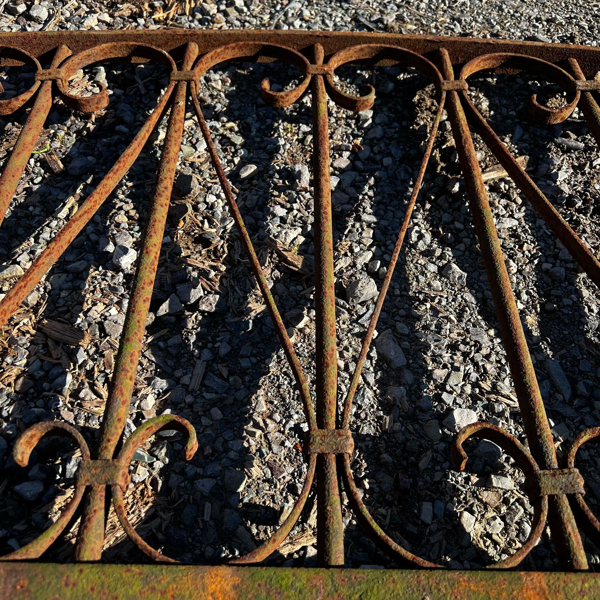 Dettaglio2 grande rostra 