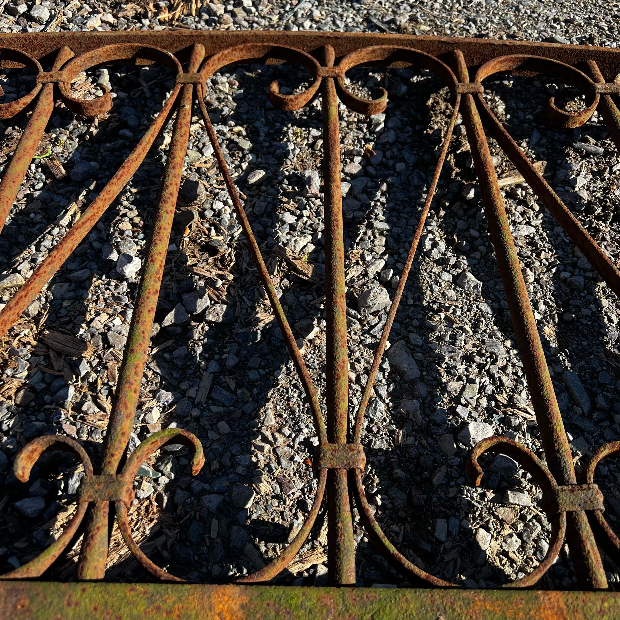 Dettaglio2 grande rostra 