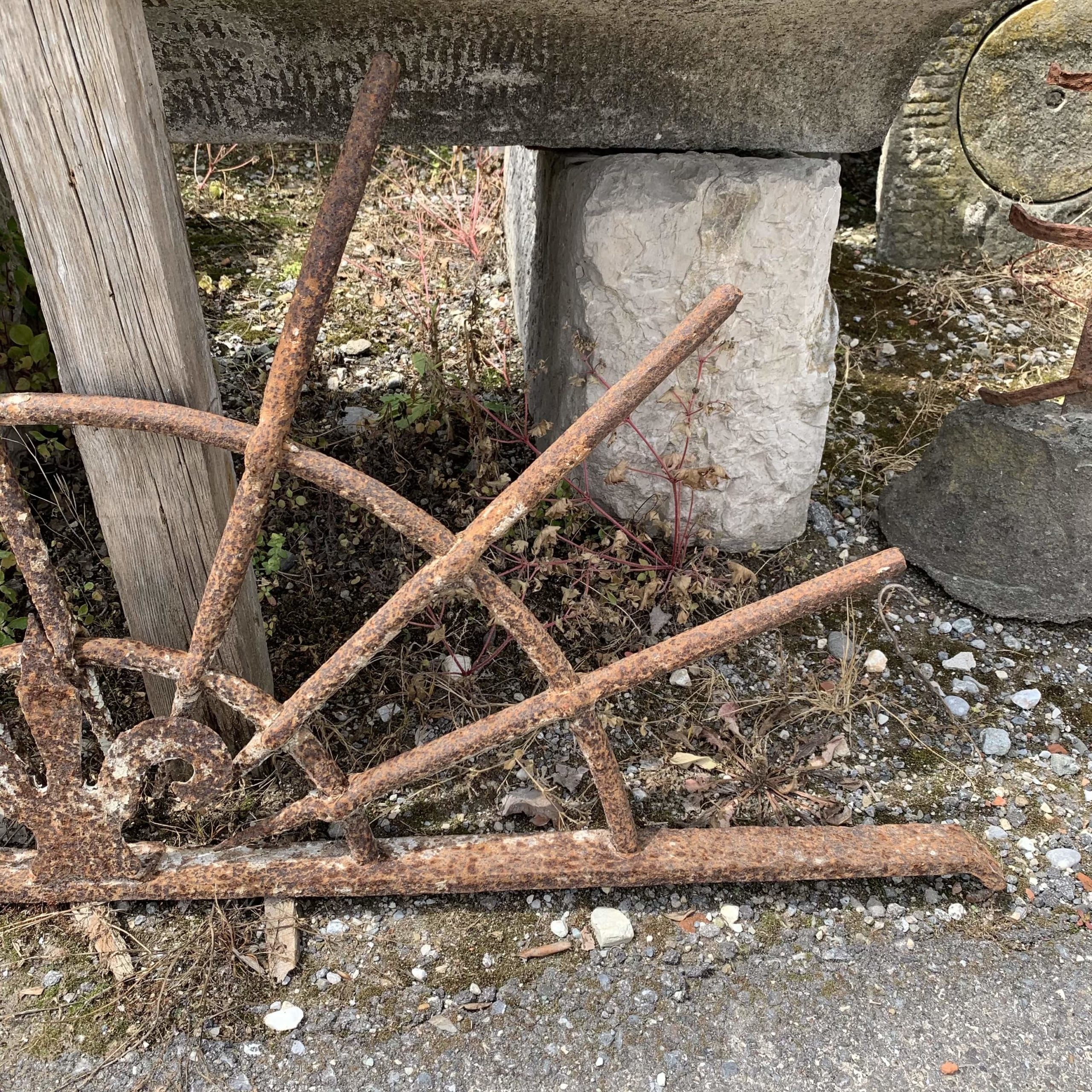 Dettaglio2 rostra di ferro 