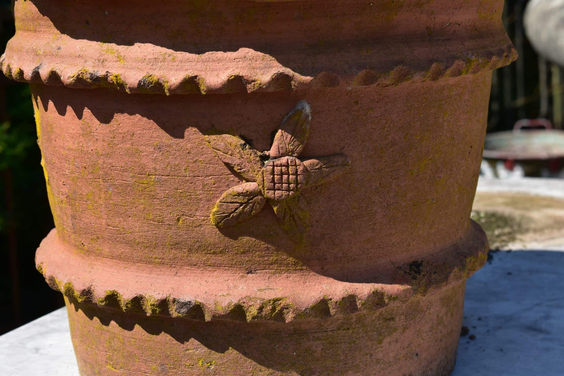 Dettaglio2 vaso piccolo in cotto 