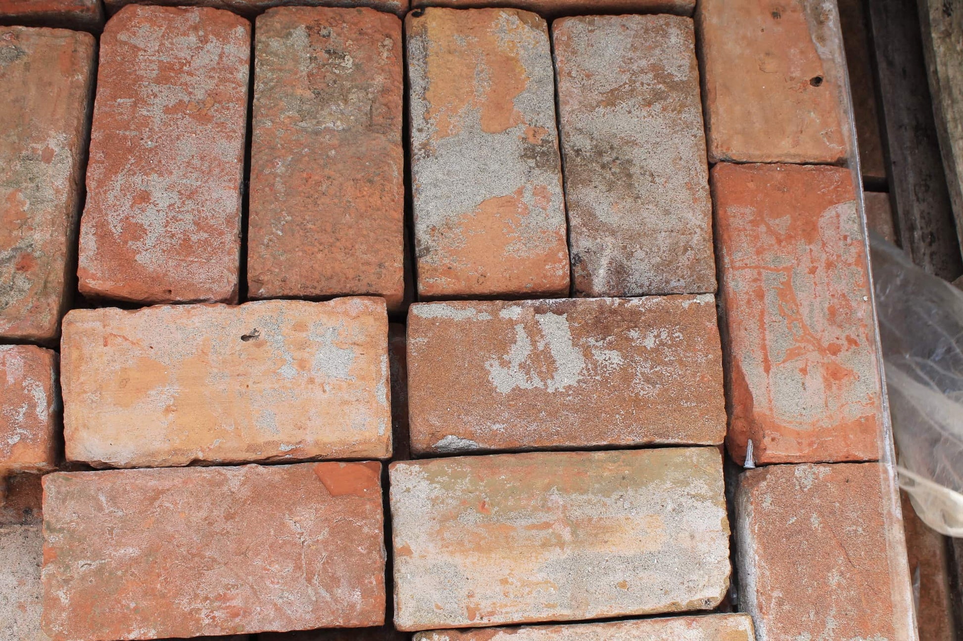 Mattoni 26 cm x 12 cm x 5 cm