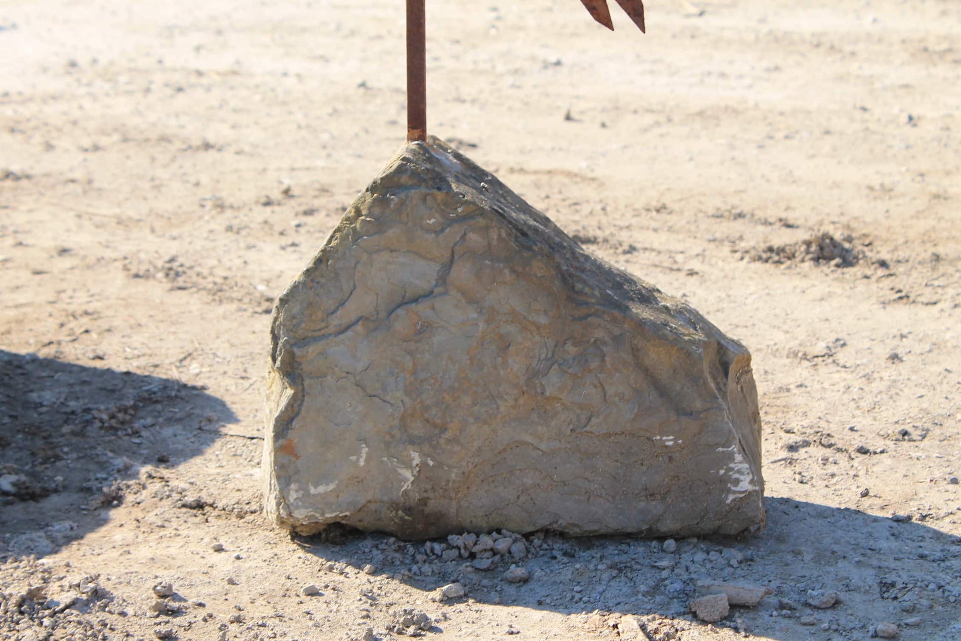 Fenicottero in ferro