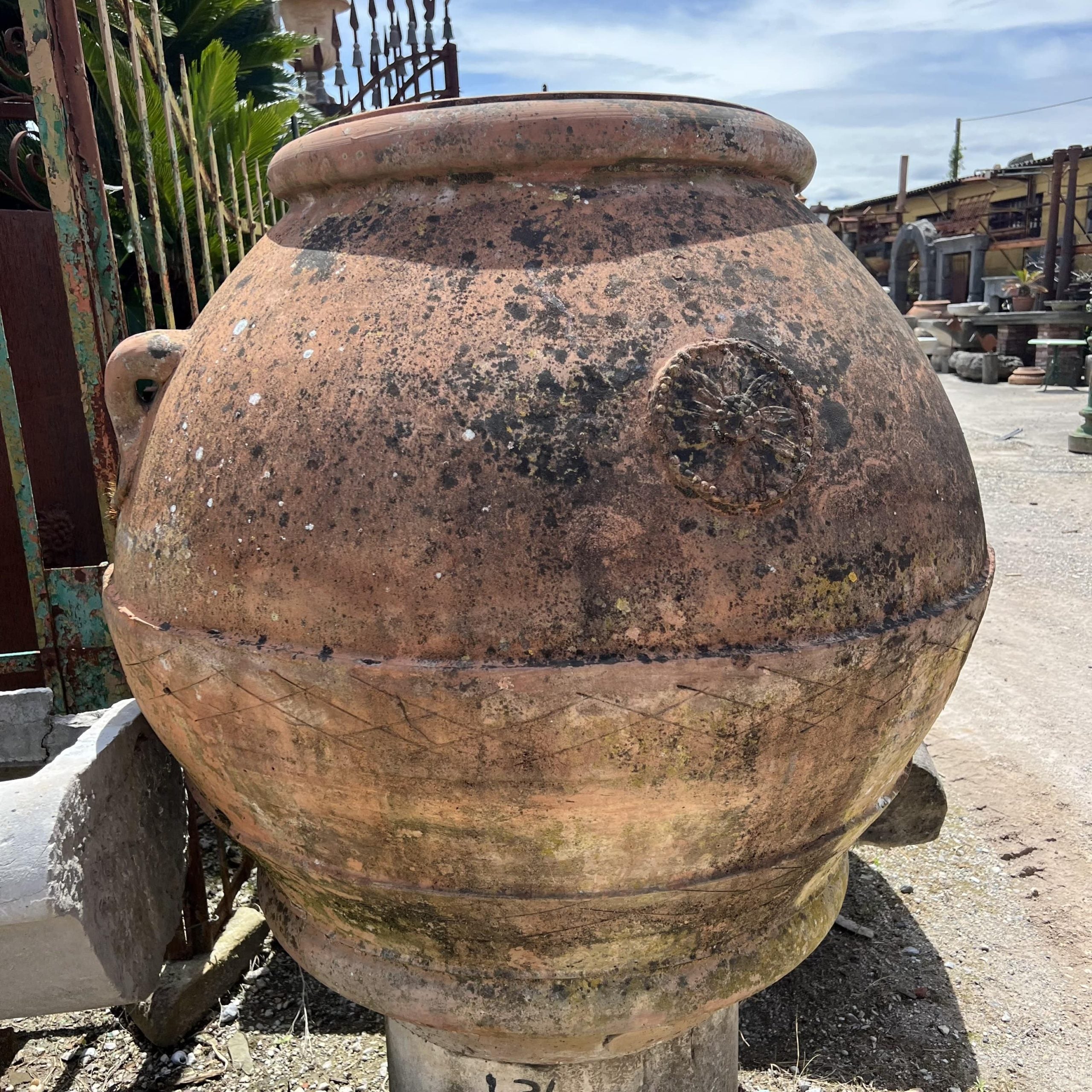 Terracotta jar, diameter 120 cm