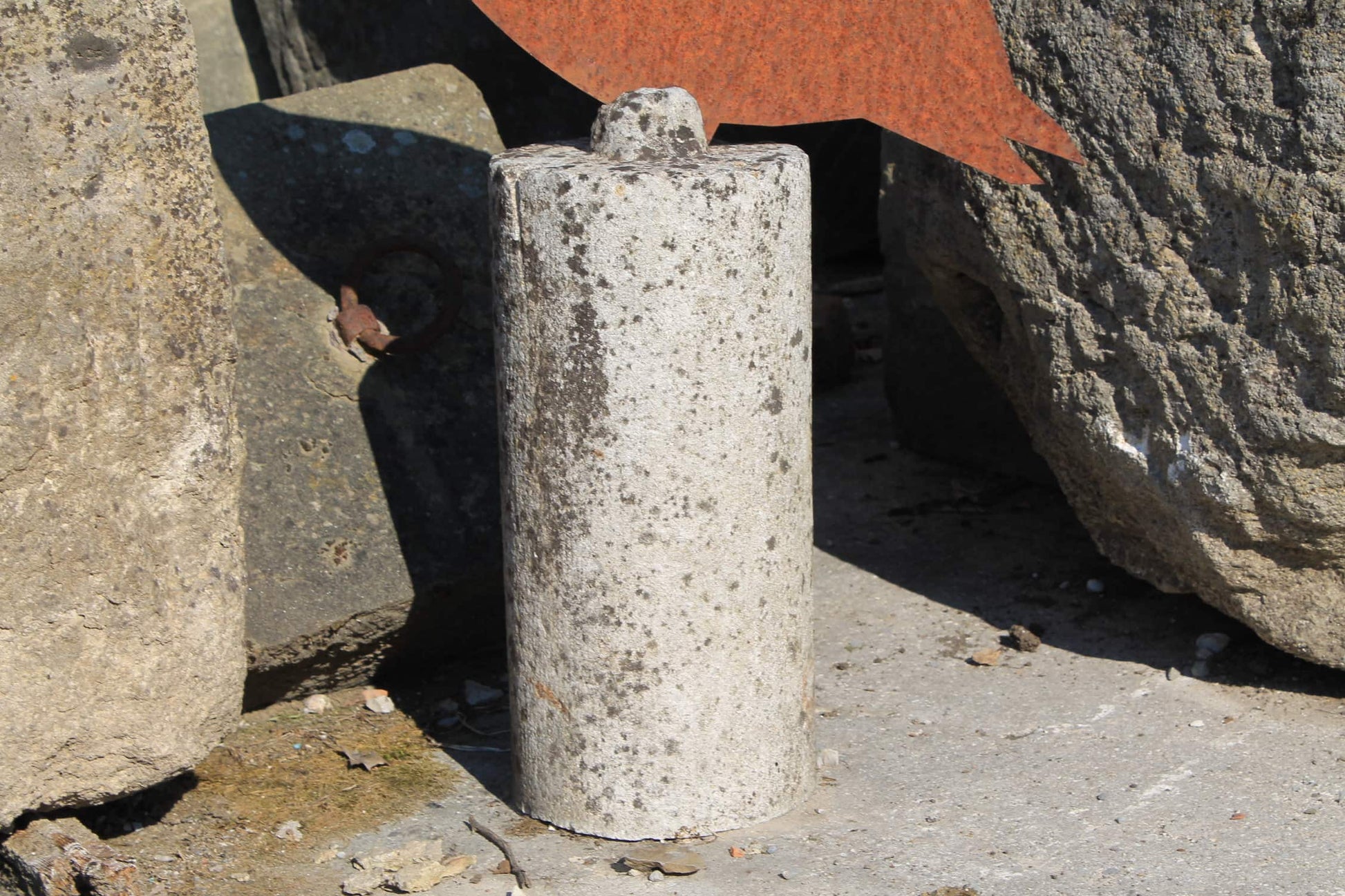 Antico animale in ferro