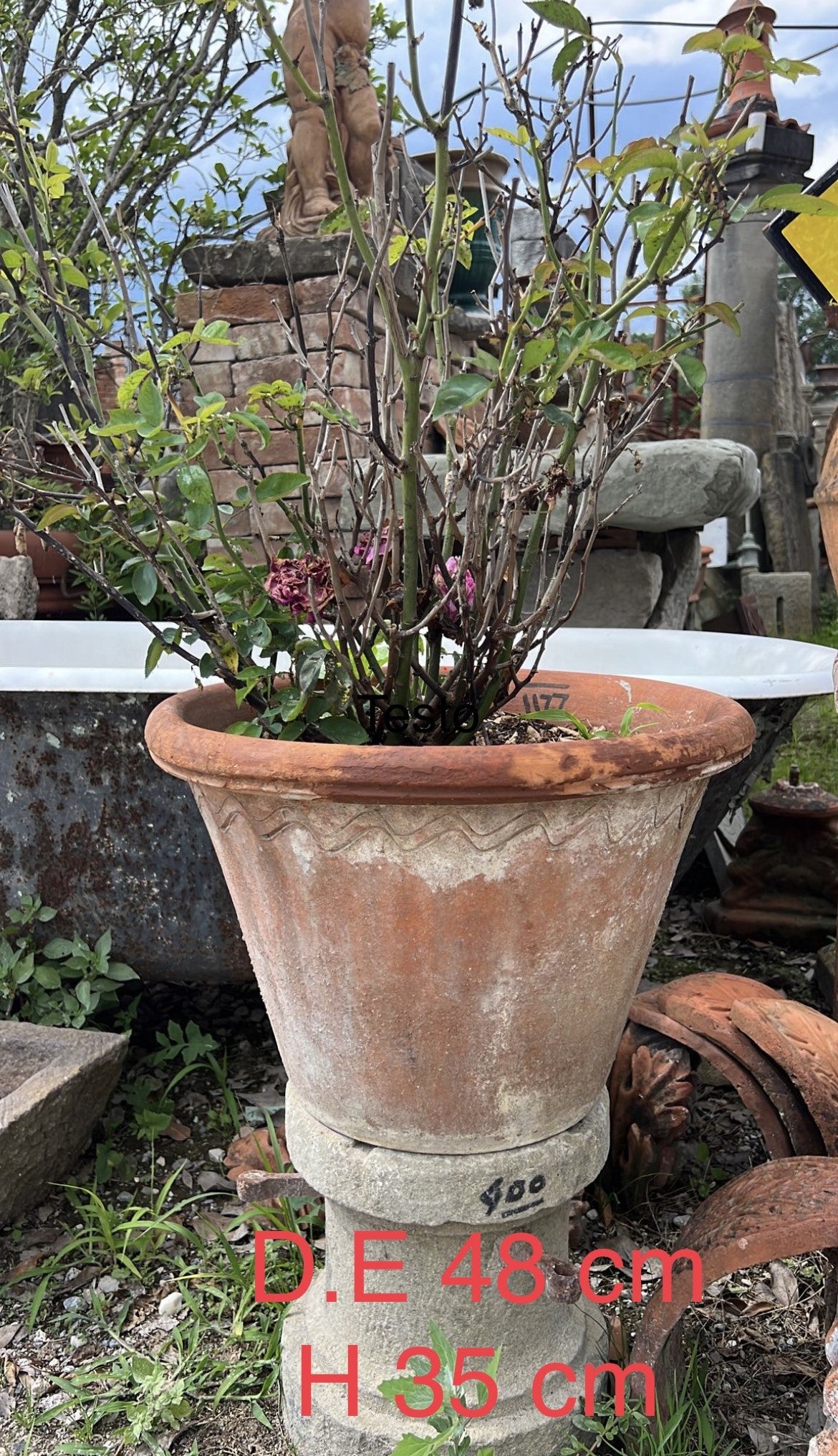 Terracotta basin - 48 cm