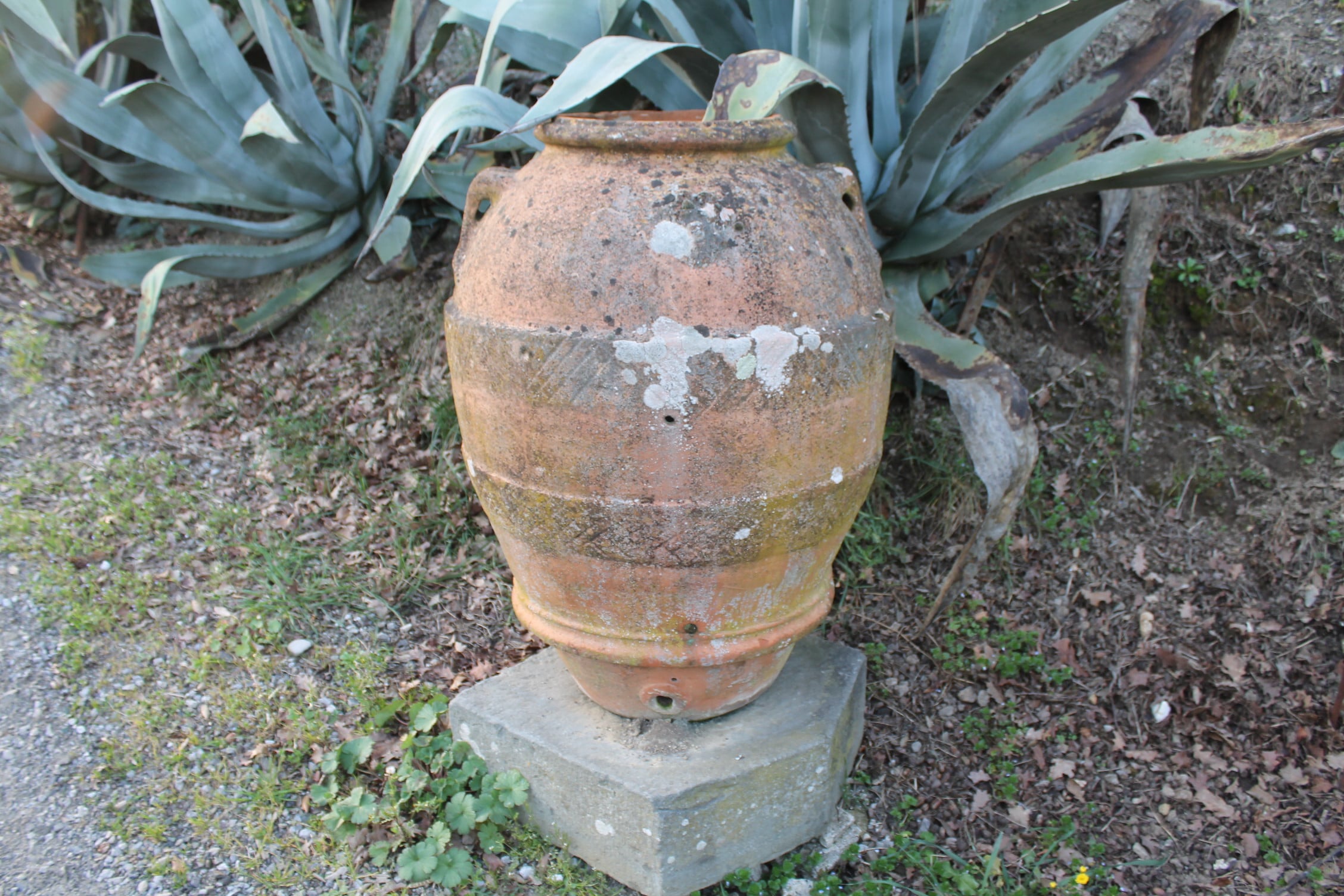 Ancient jar with central decoration