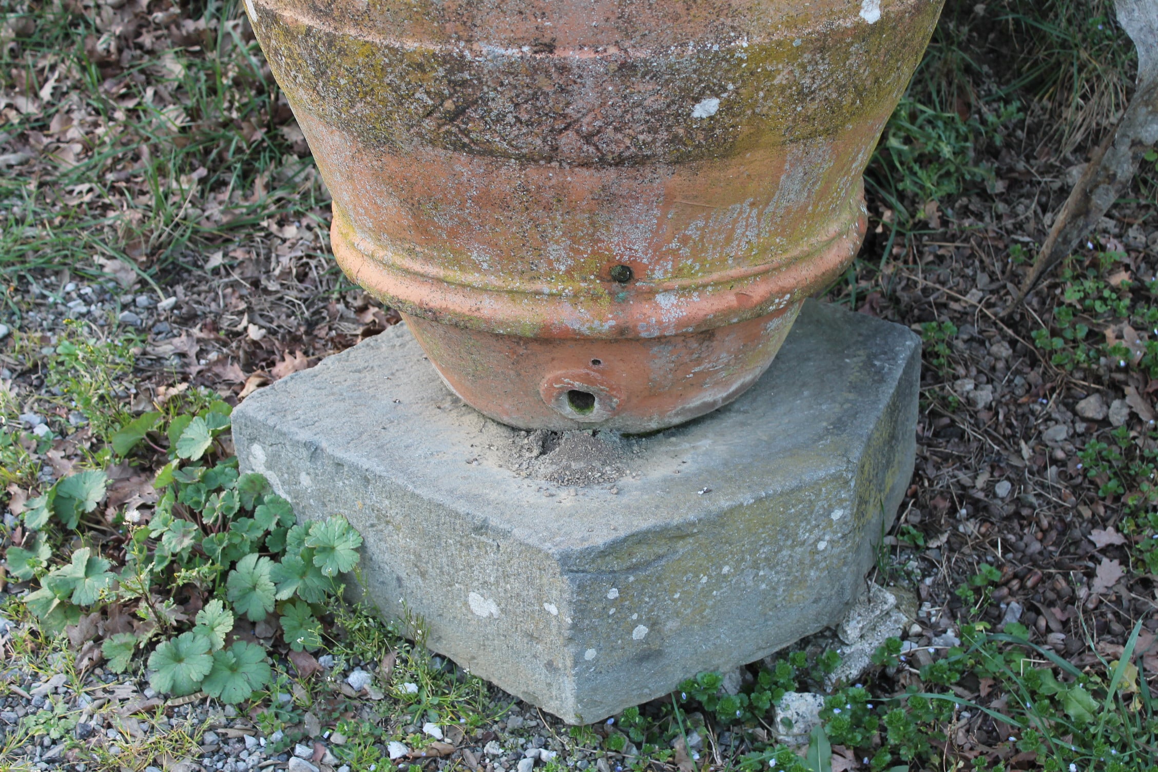 Ancient jar with central decoration