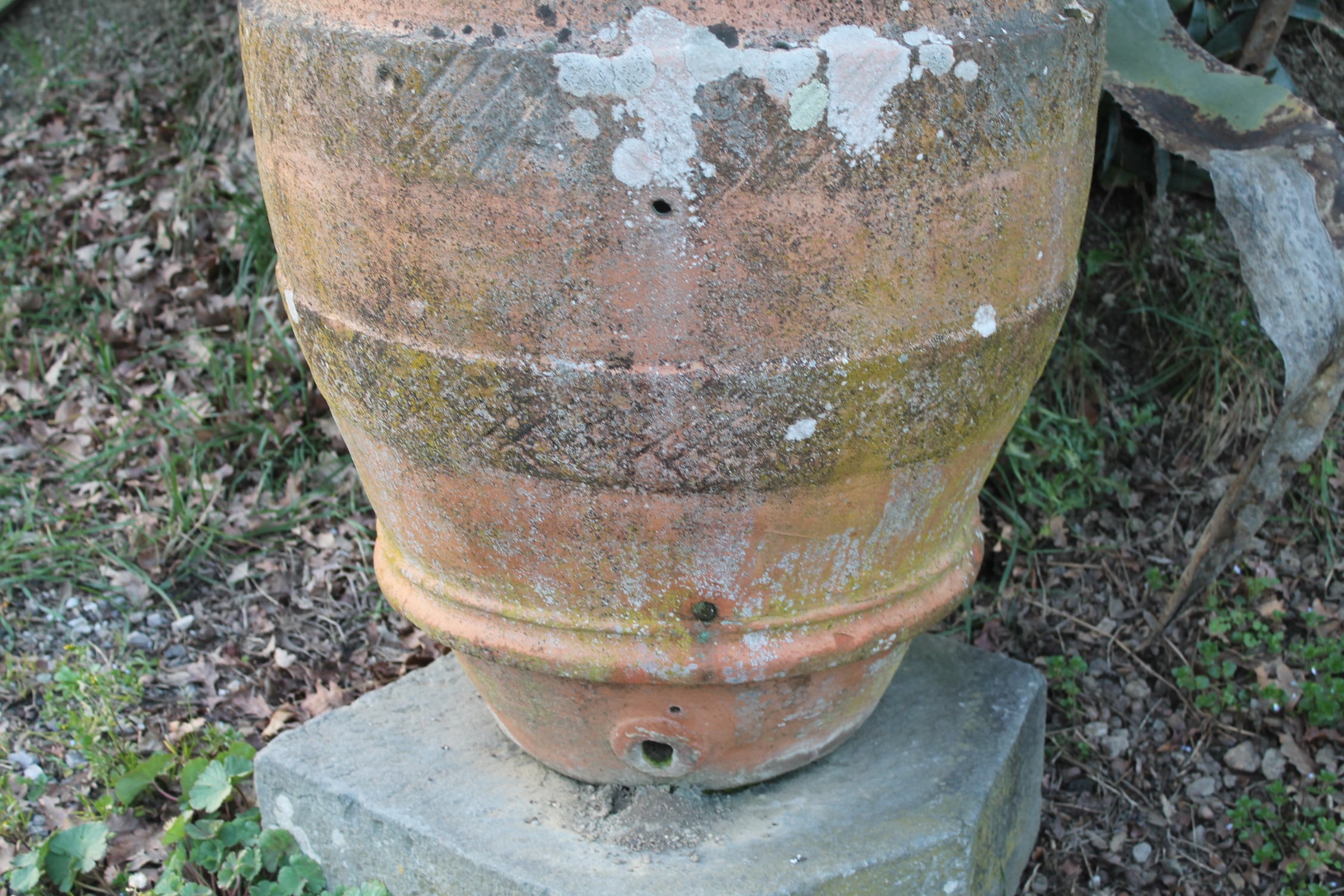 Ancient jar with central decoration