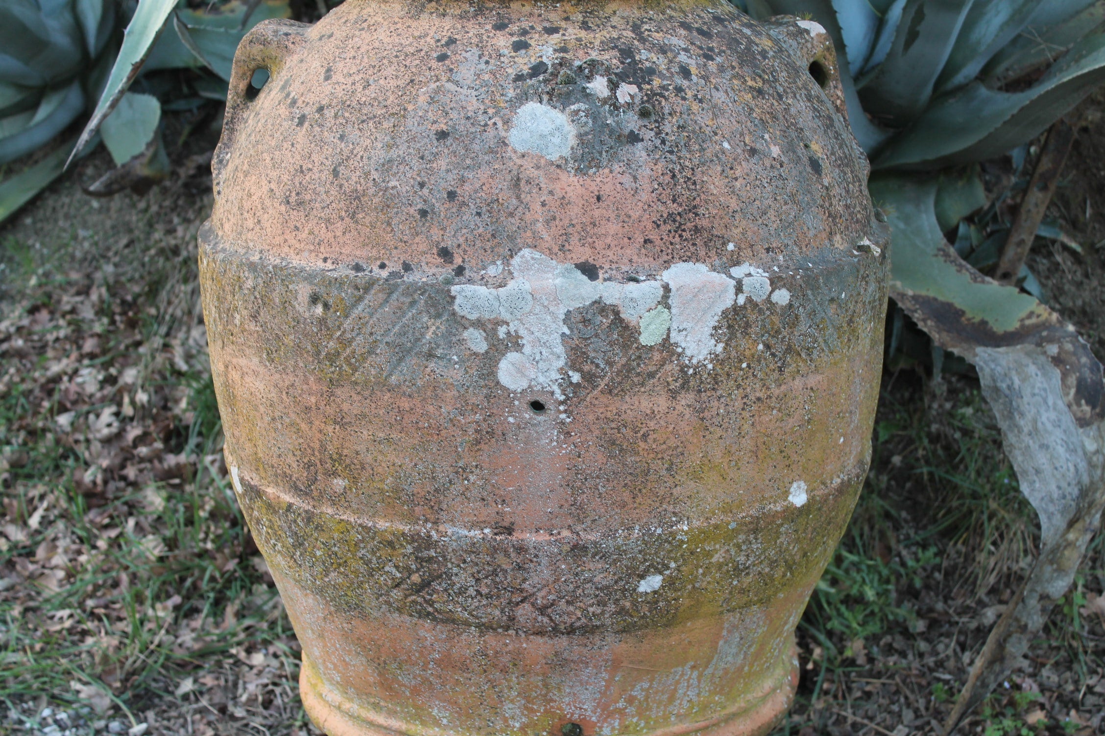 Ancient jar with central decoration