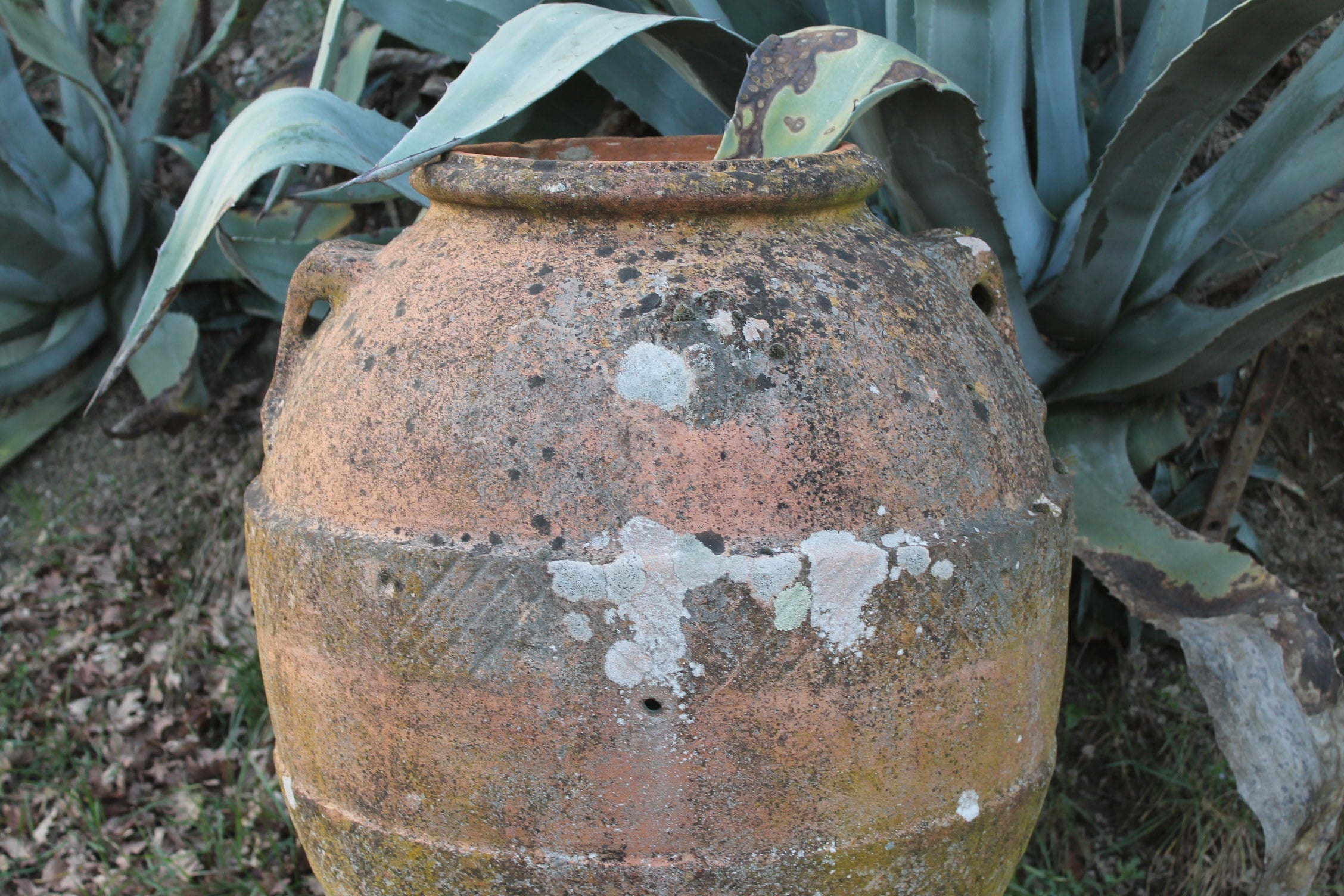 Ancient jar with central decoration