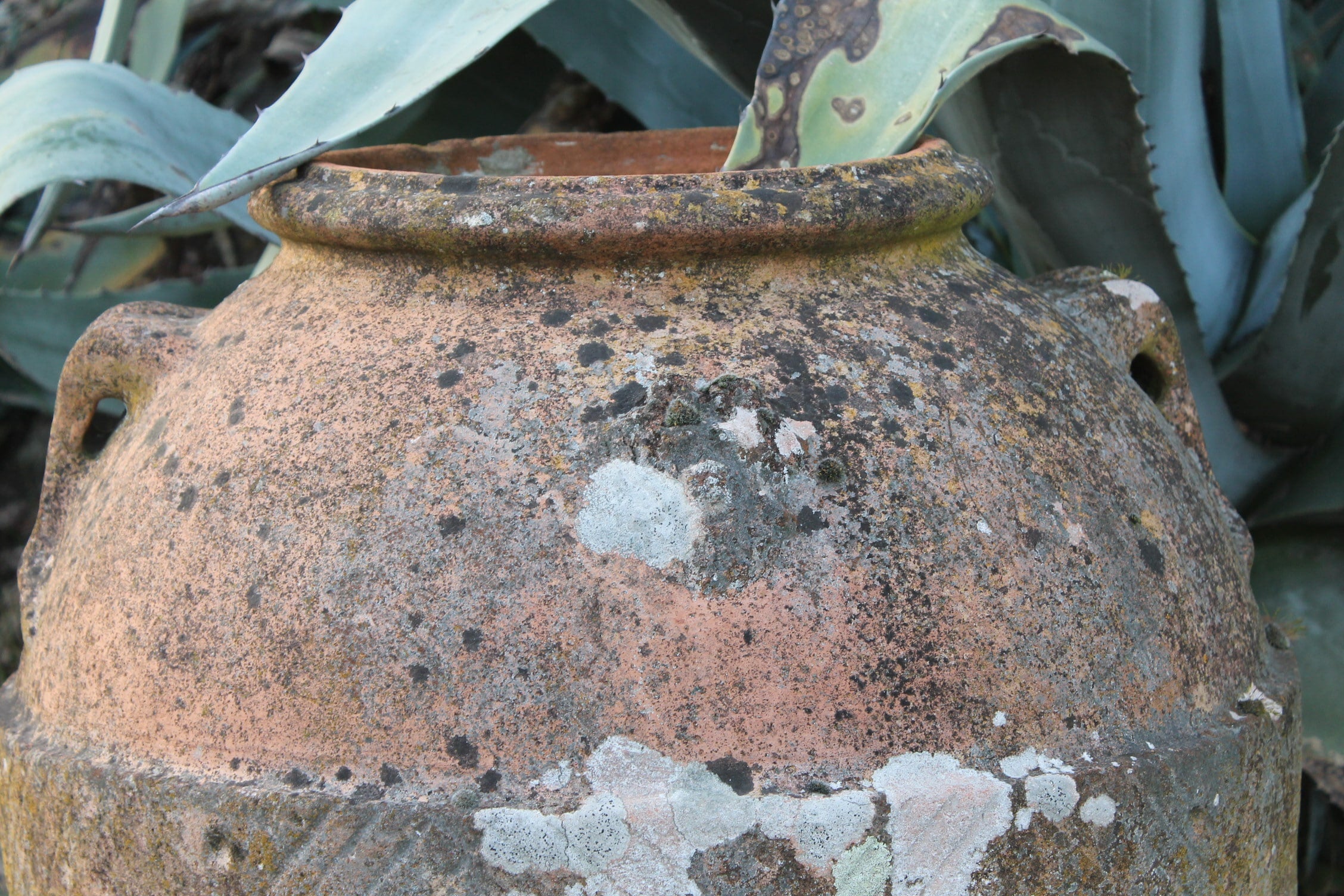 Ancient jar with central decoration